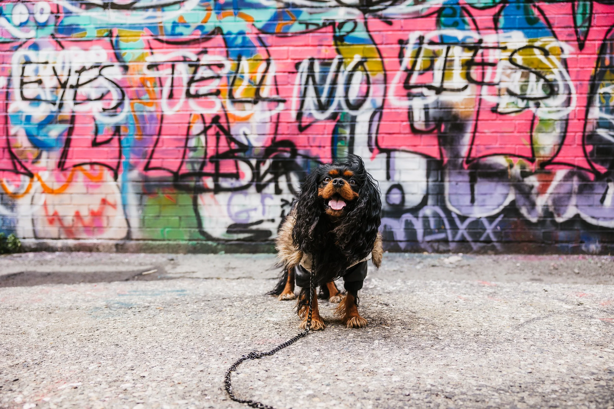 Punk Rock - Torrhen-18.jpg