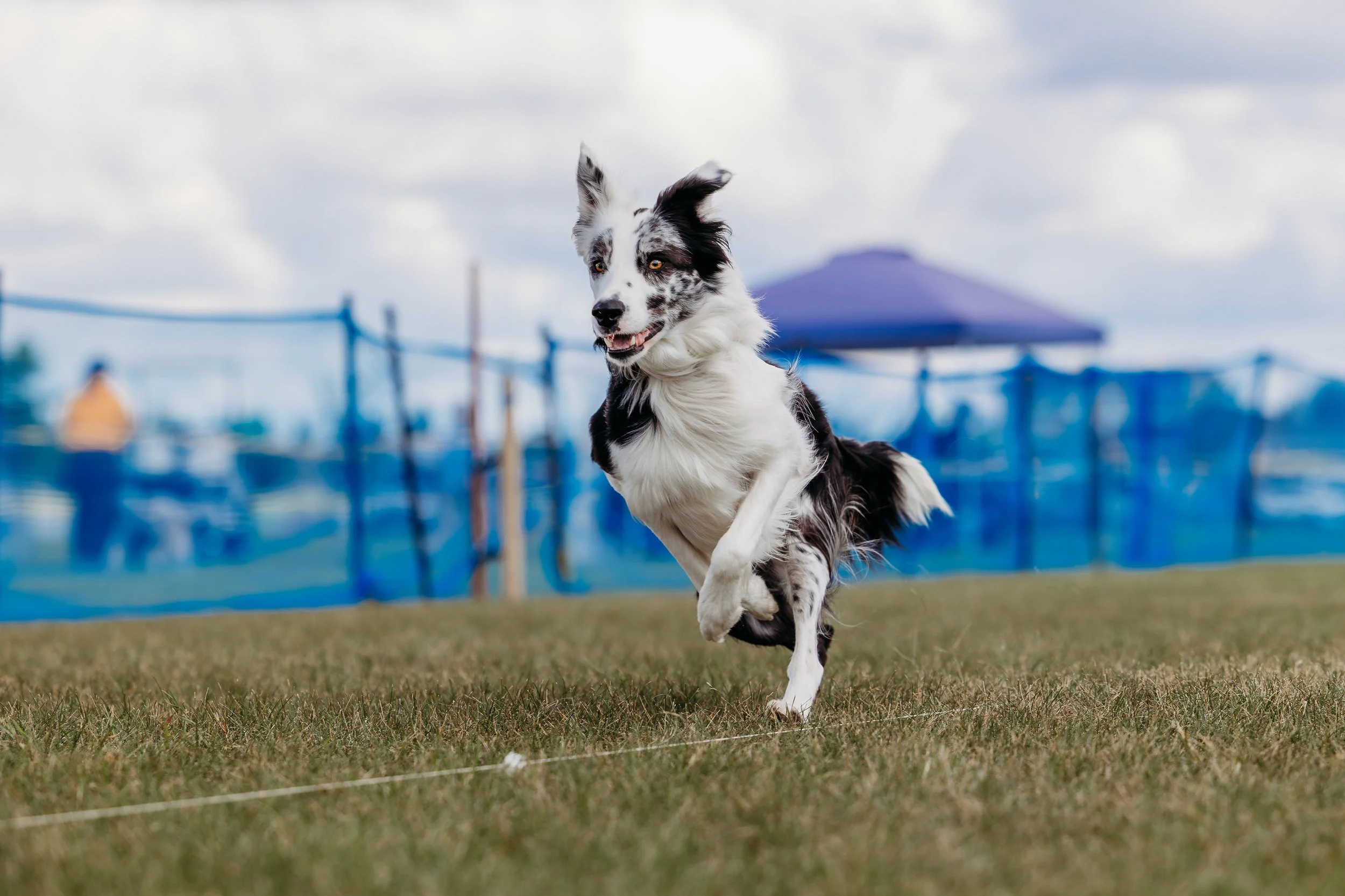 GFDTC FastCAT 080924-318.jpg