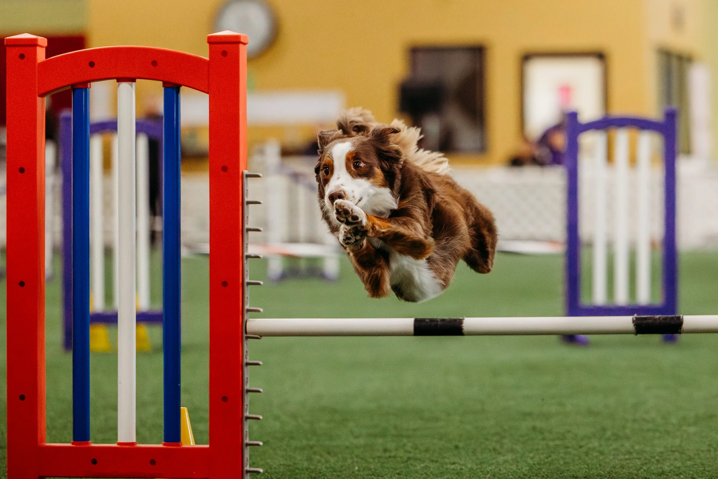 MAC Agility-OTR-Cutty-13.jpg