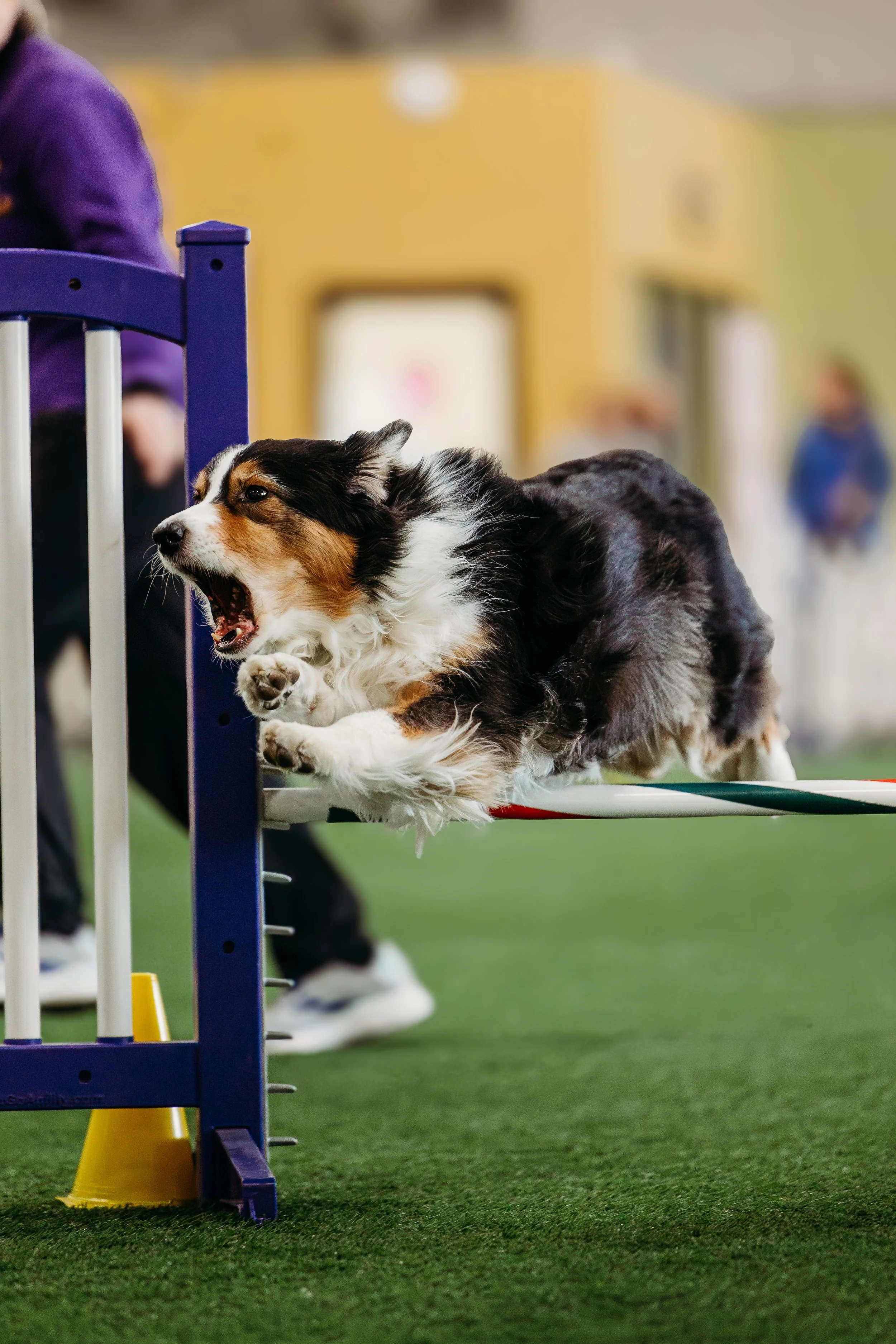 MAC Agility-OTR-Diggins-14.jpg