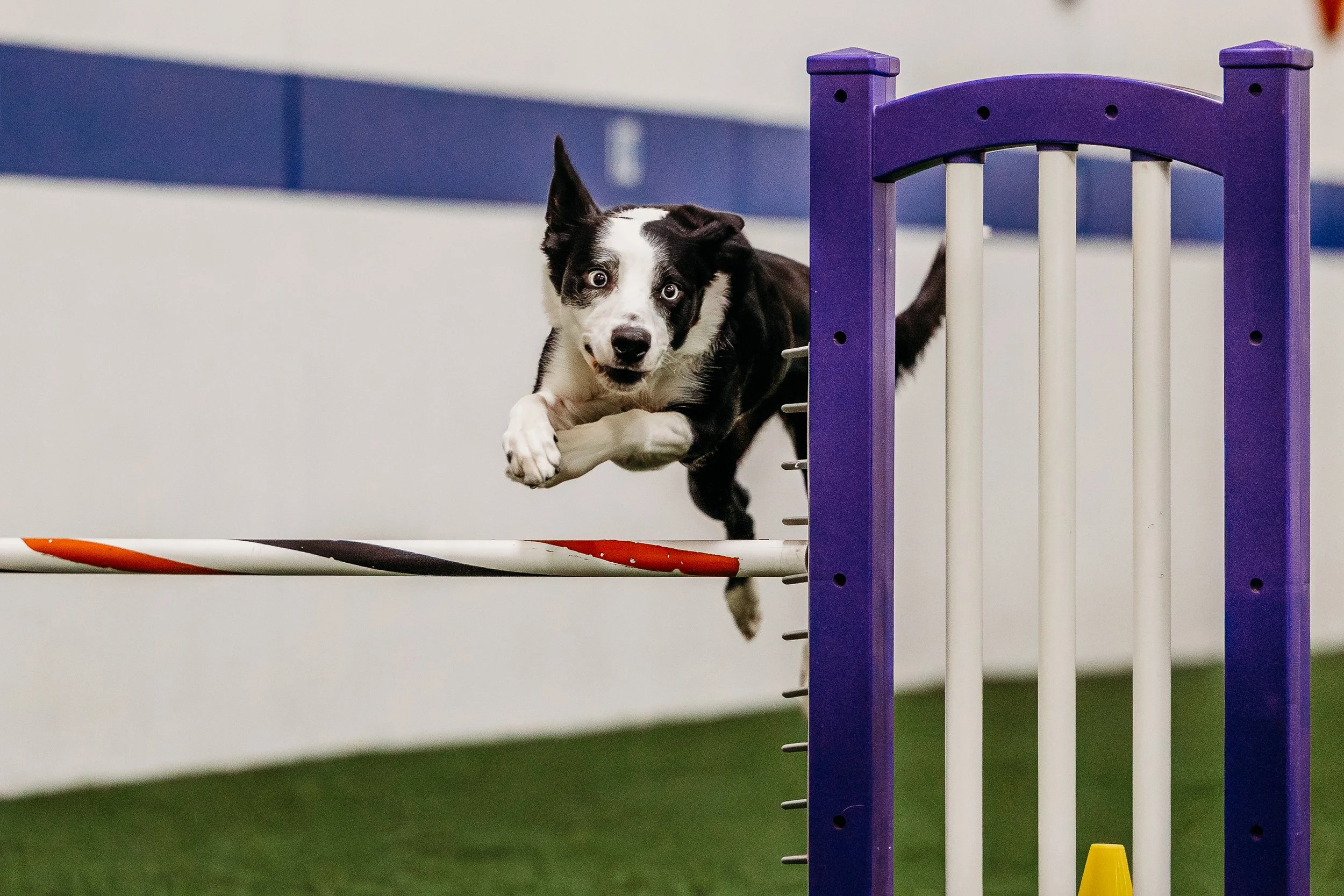 MAC Agility-OTR-Evin-5.jpg