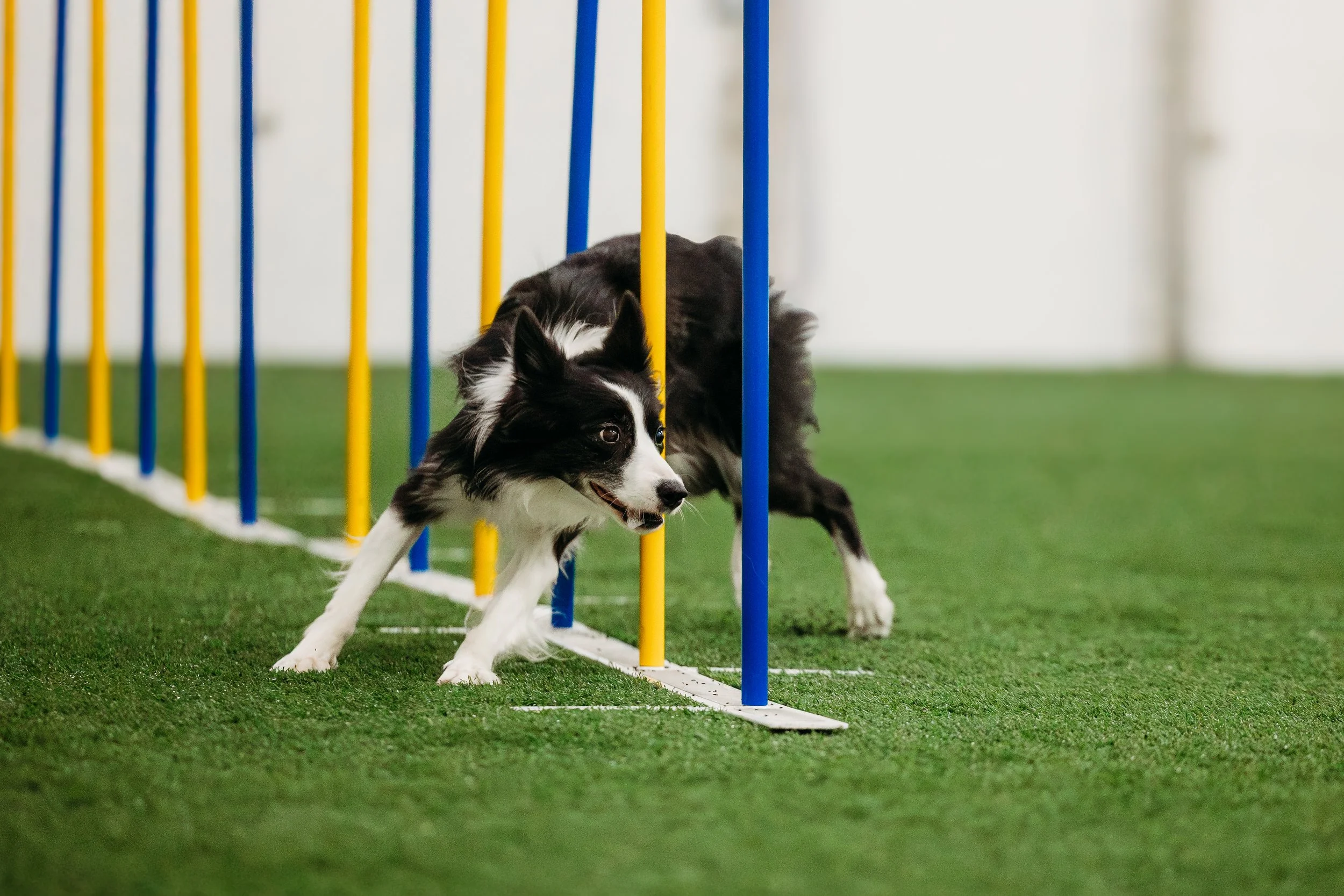 MAC Agility-OTR-Journey-4.jpg