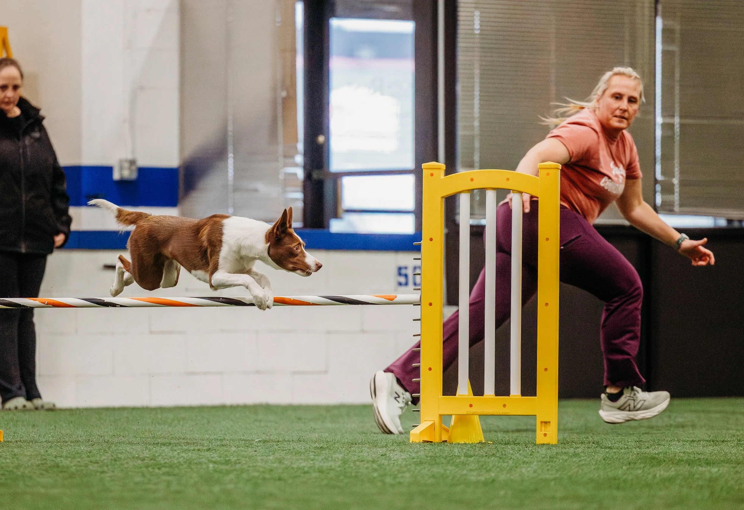 MAC Agility-OTR-Mayhem-6.jpg