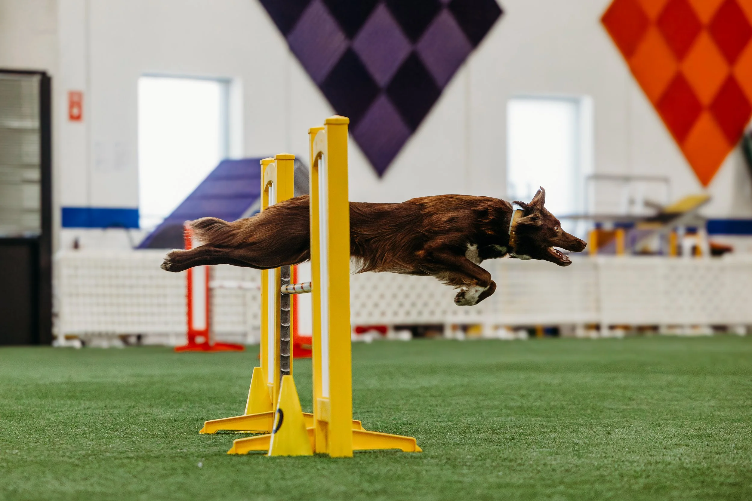 MAC Agility-OTR-Lux-6.jpg