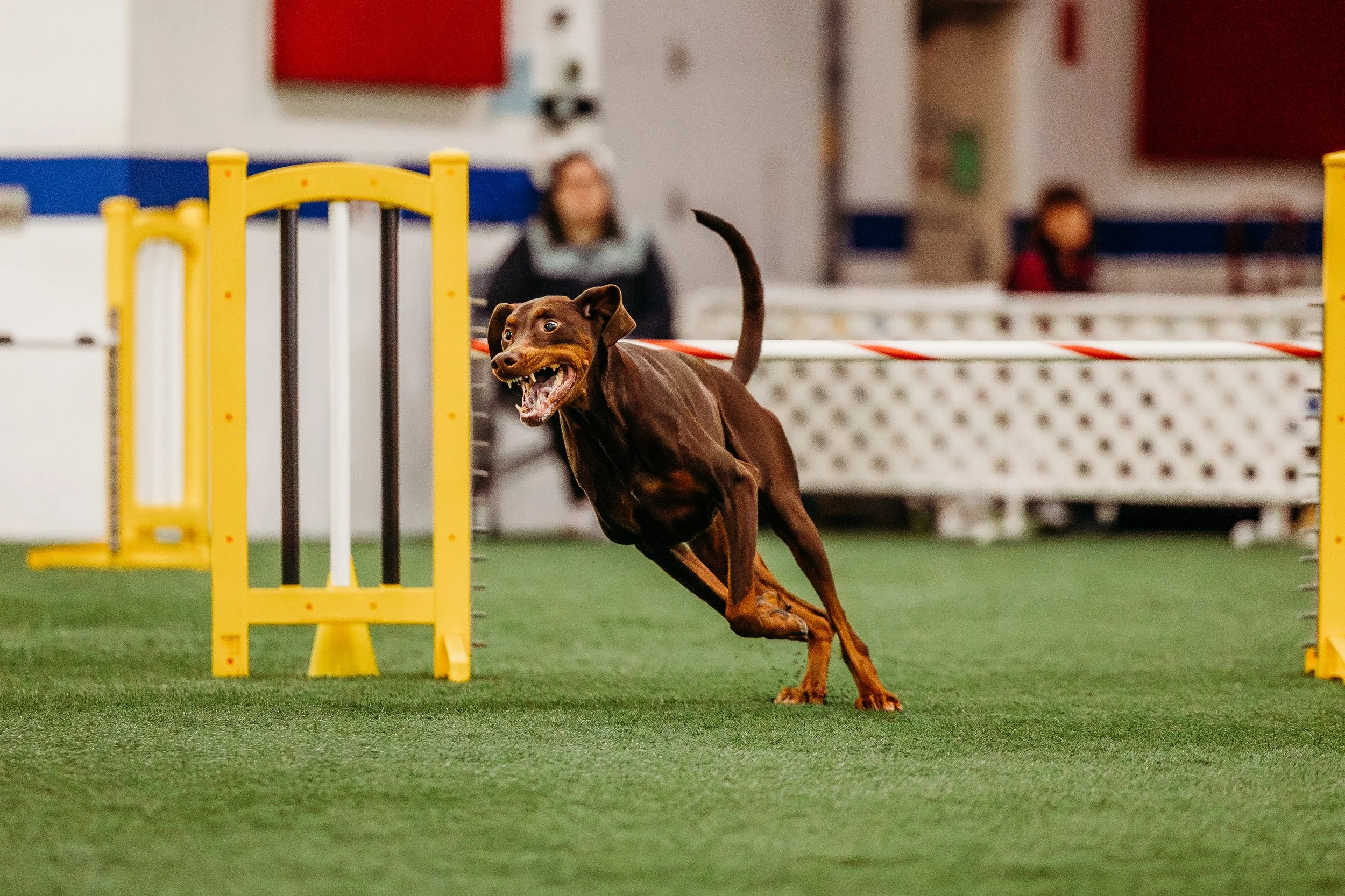 MAC Agility-OTR-Winston-7.jpg