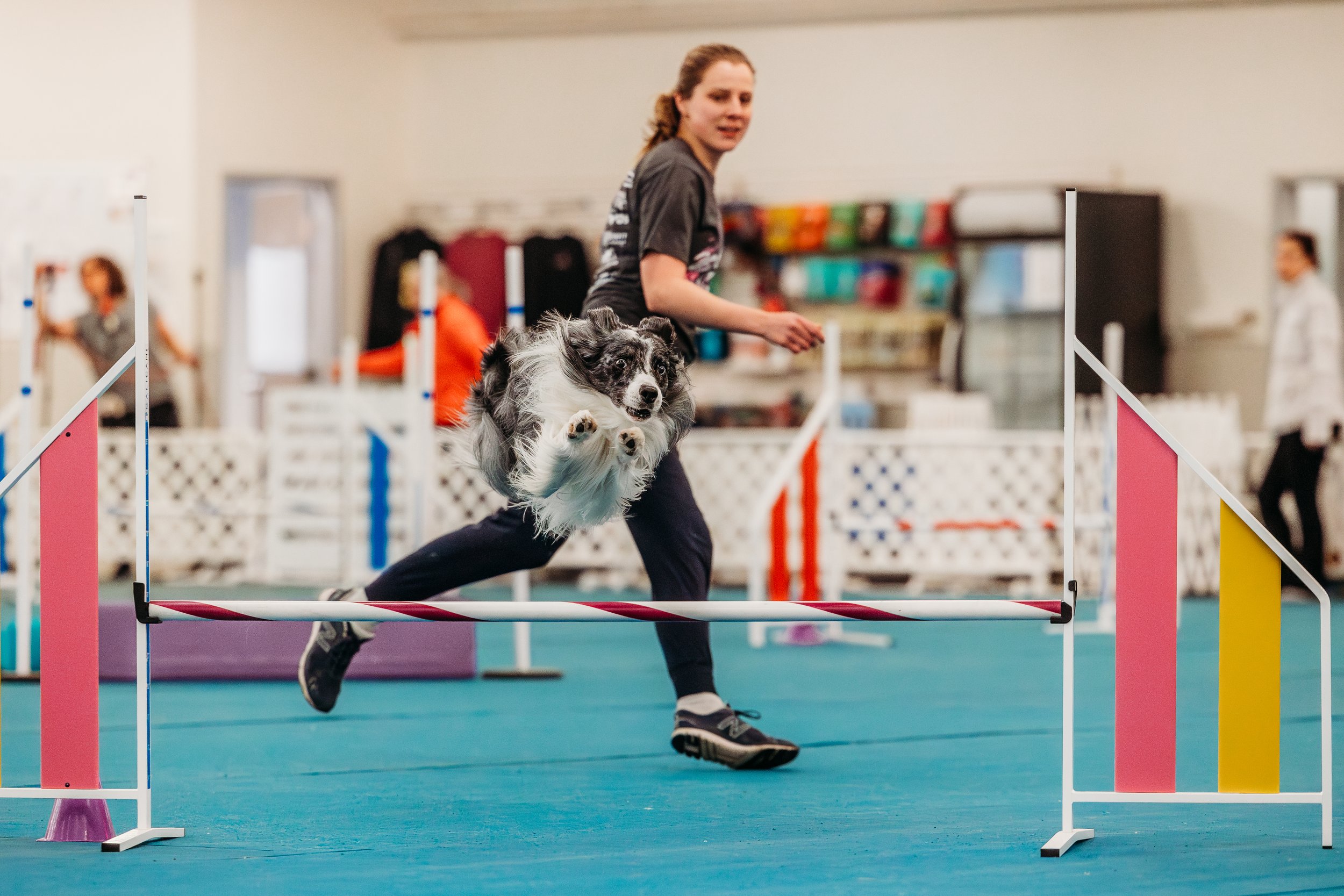 Fusion Agility - Huey-2.jpg
