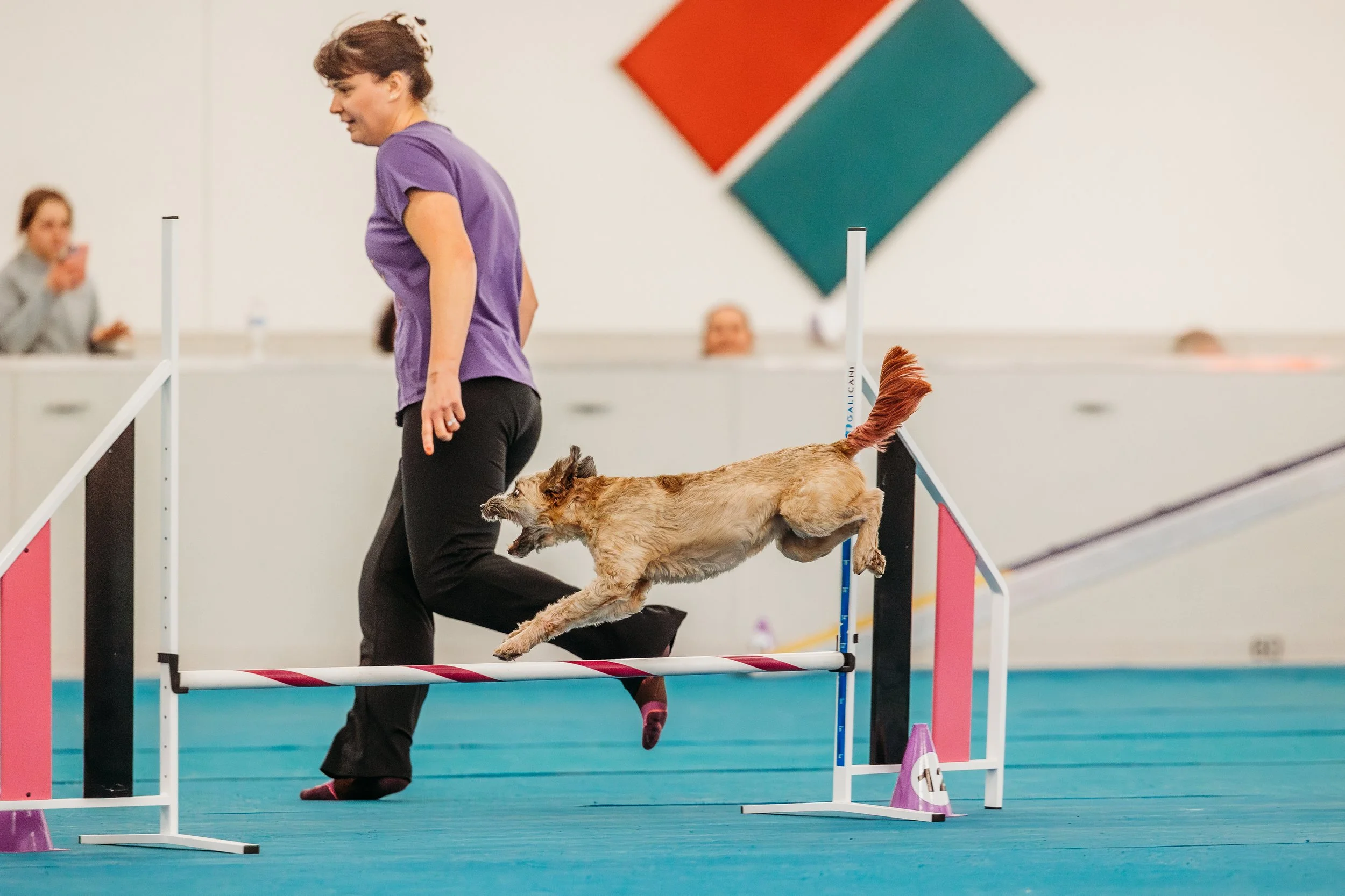 Fusion Agility - Evie-12.jpg