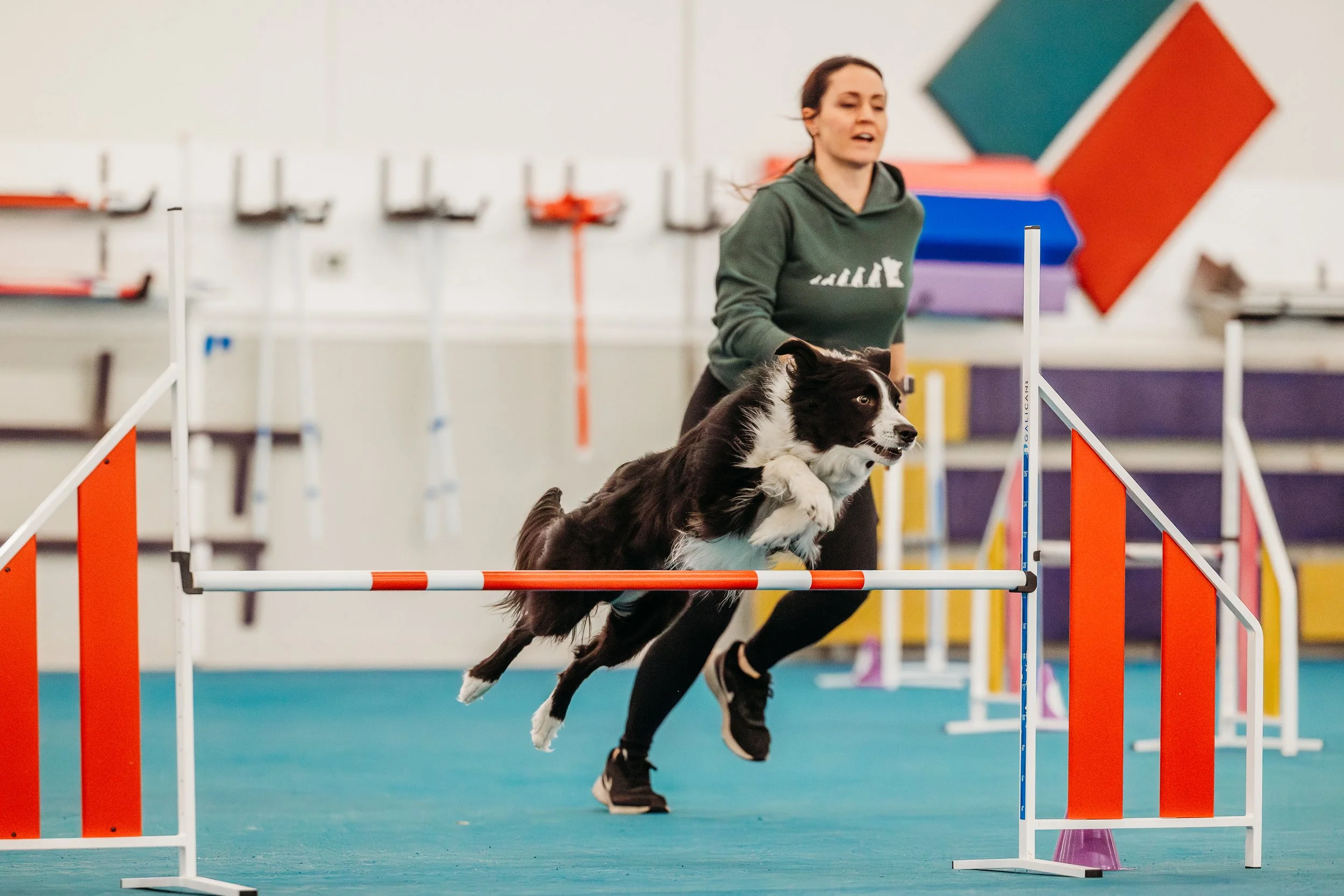 Fusion Agility - Archie-2.jpg