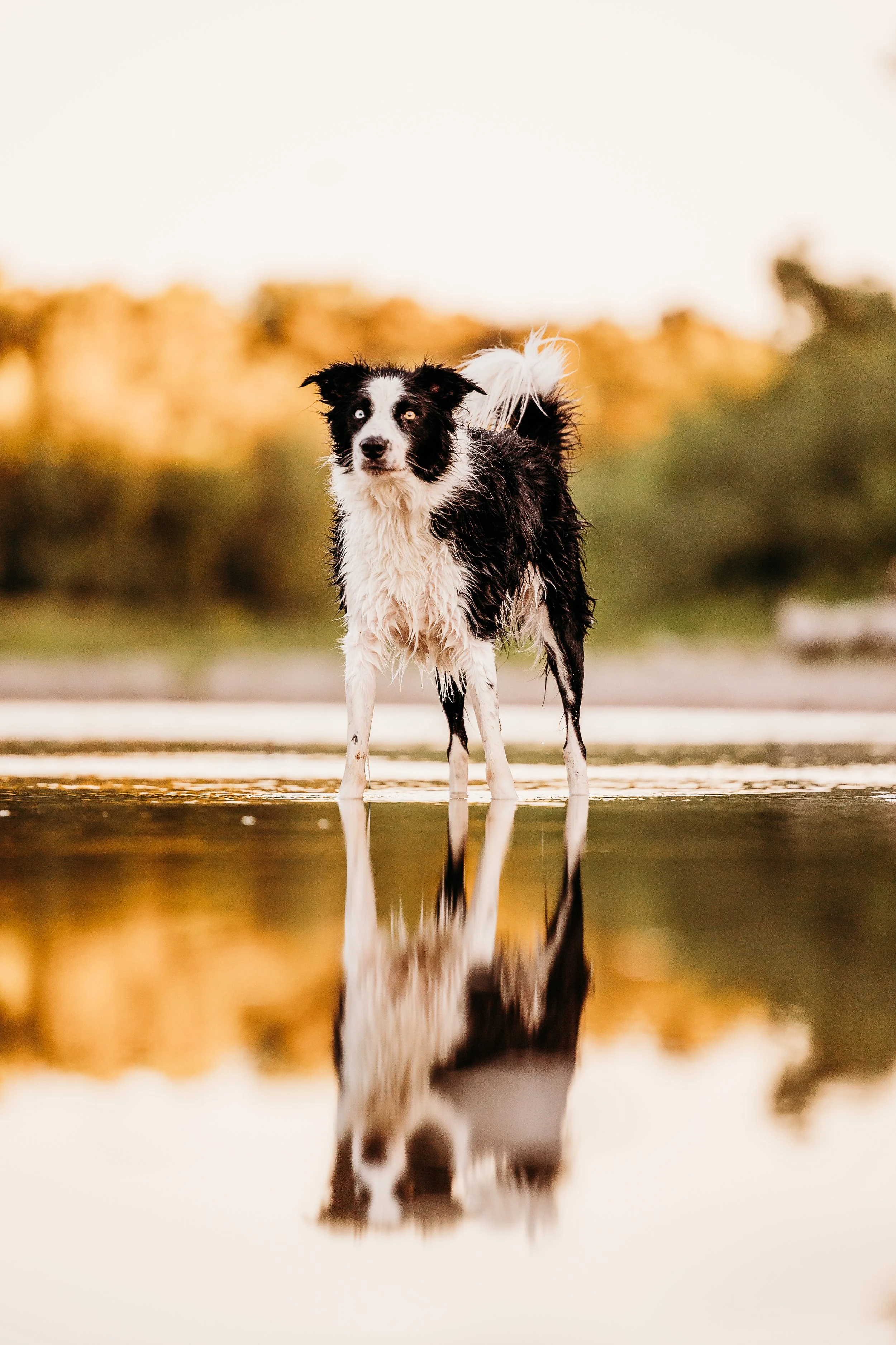 River Minis - Bean - Edits-4.jpg
