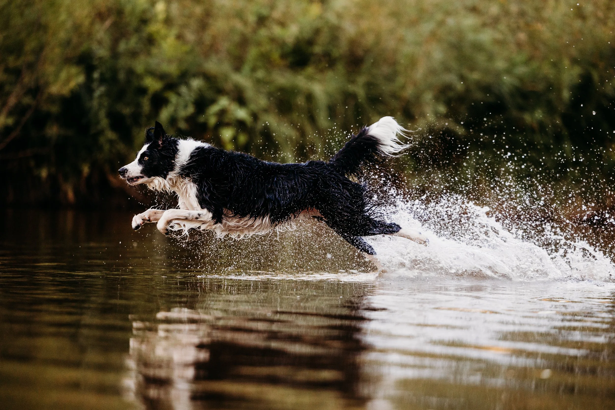 River Minis - Bean - Edits-6.jpg