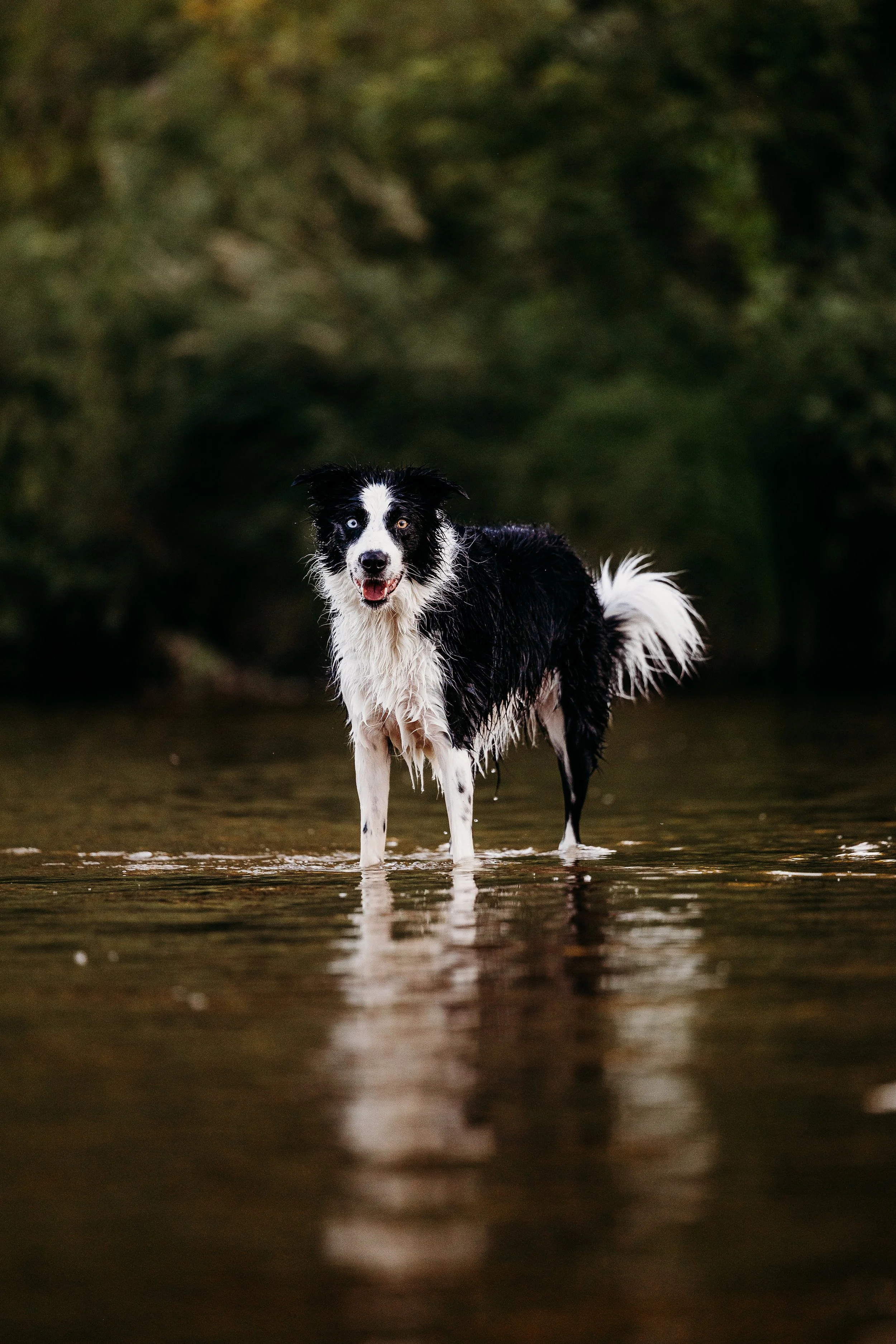 River Minis - Bean - Edits-7.jpg