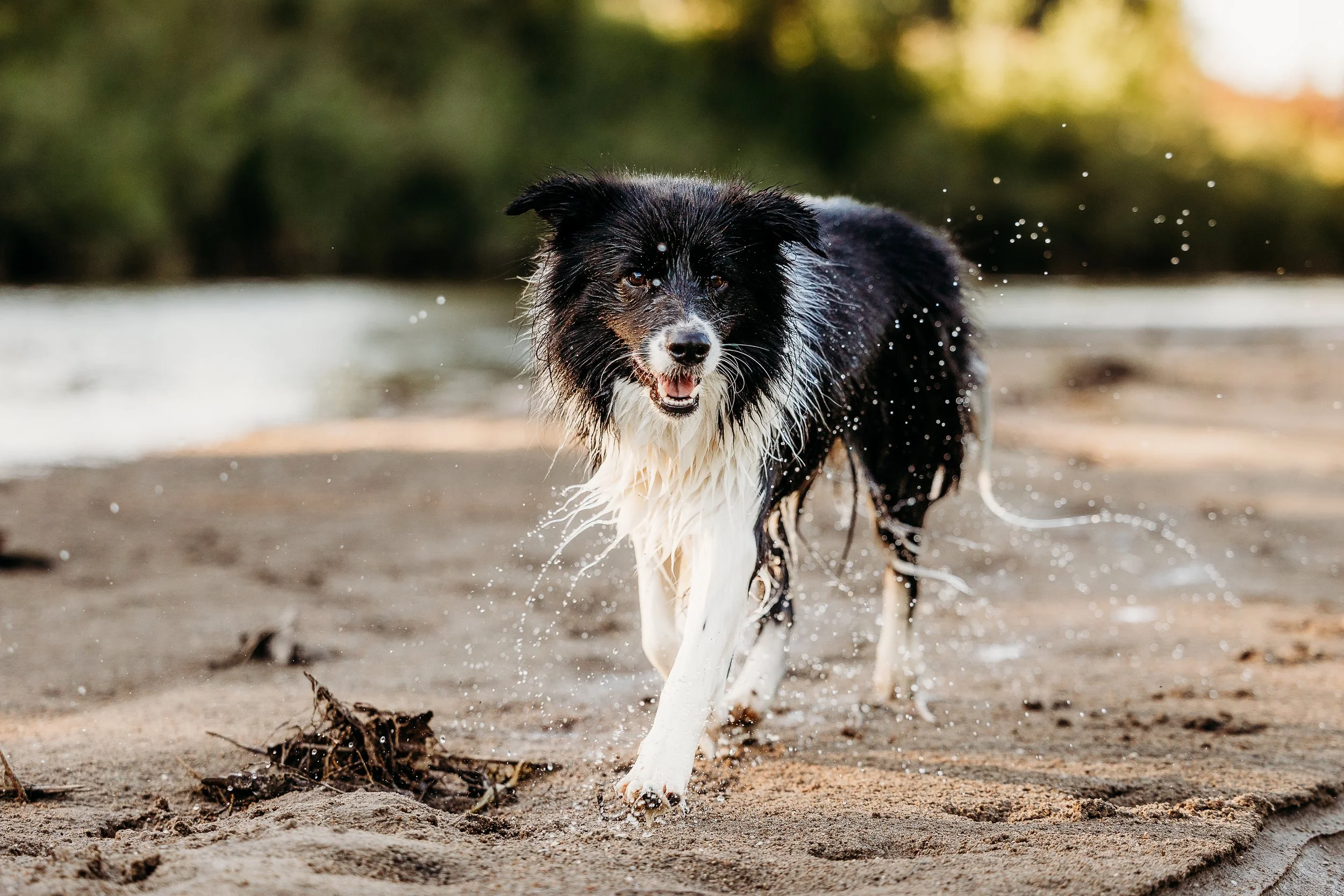 River Minis - Dune Edits-5.jpg