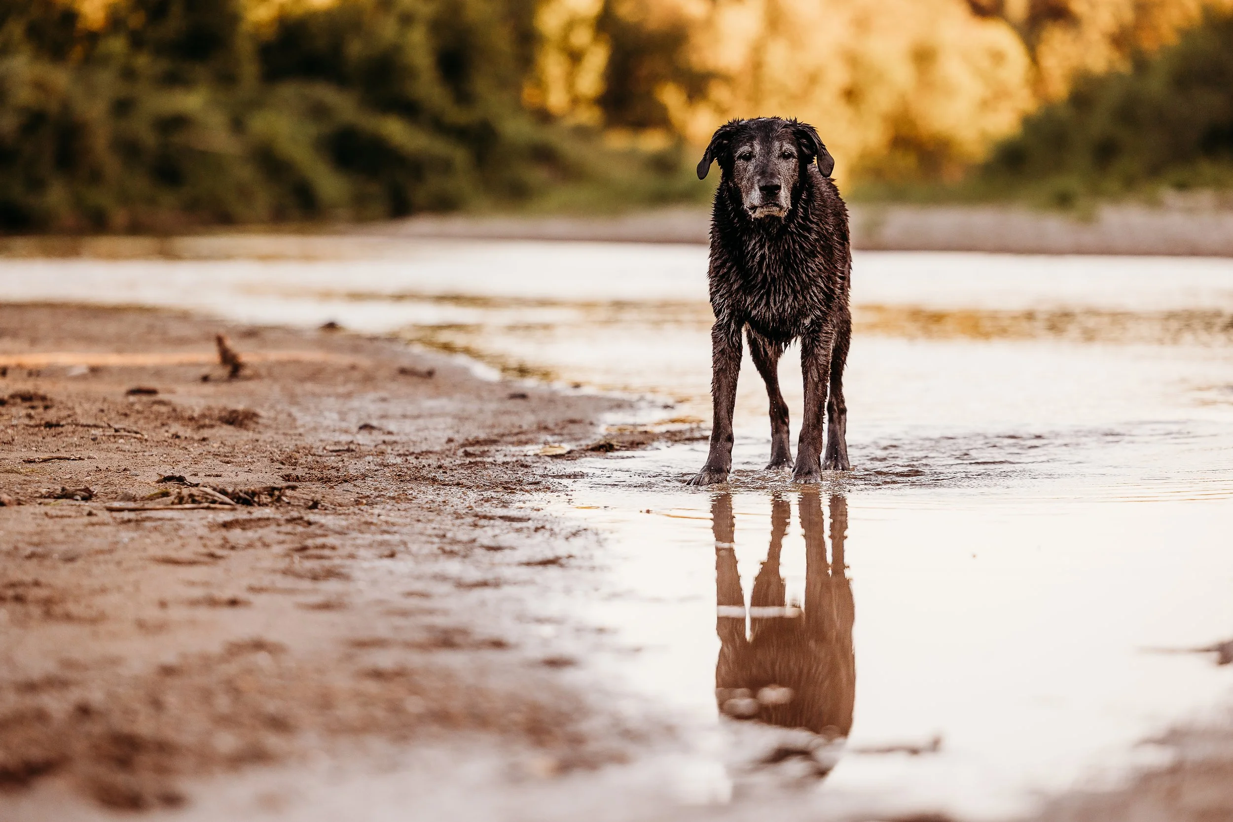 River Minis - Eddie - Edits-4.jpg