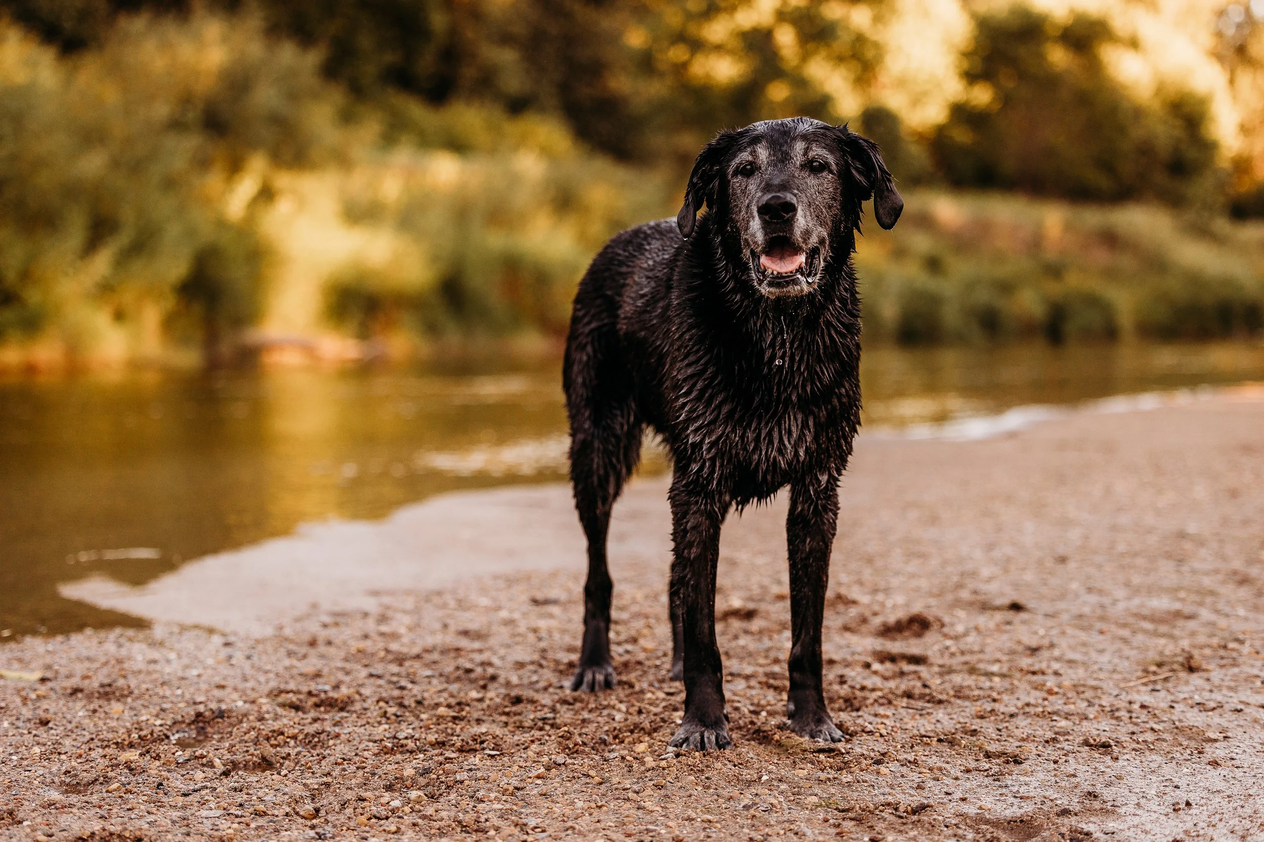 River Minis - Eddie - Edits-5.jpg