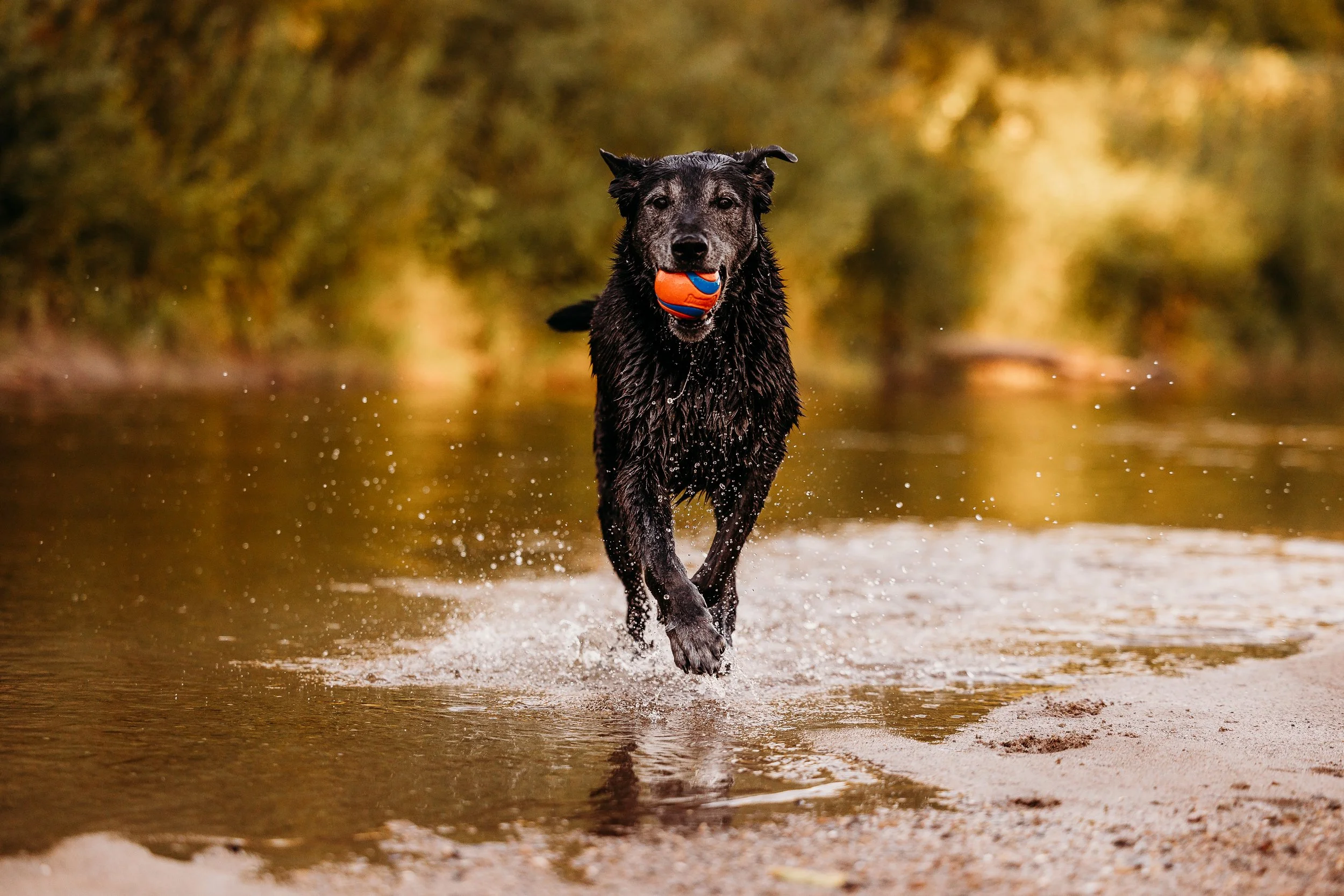 River Minis - Eddie - Edits-6.jpg