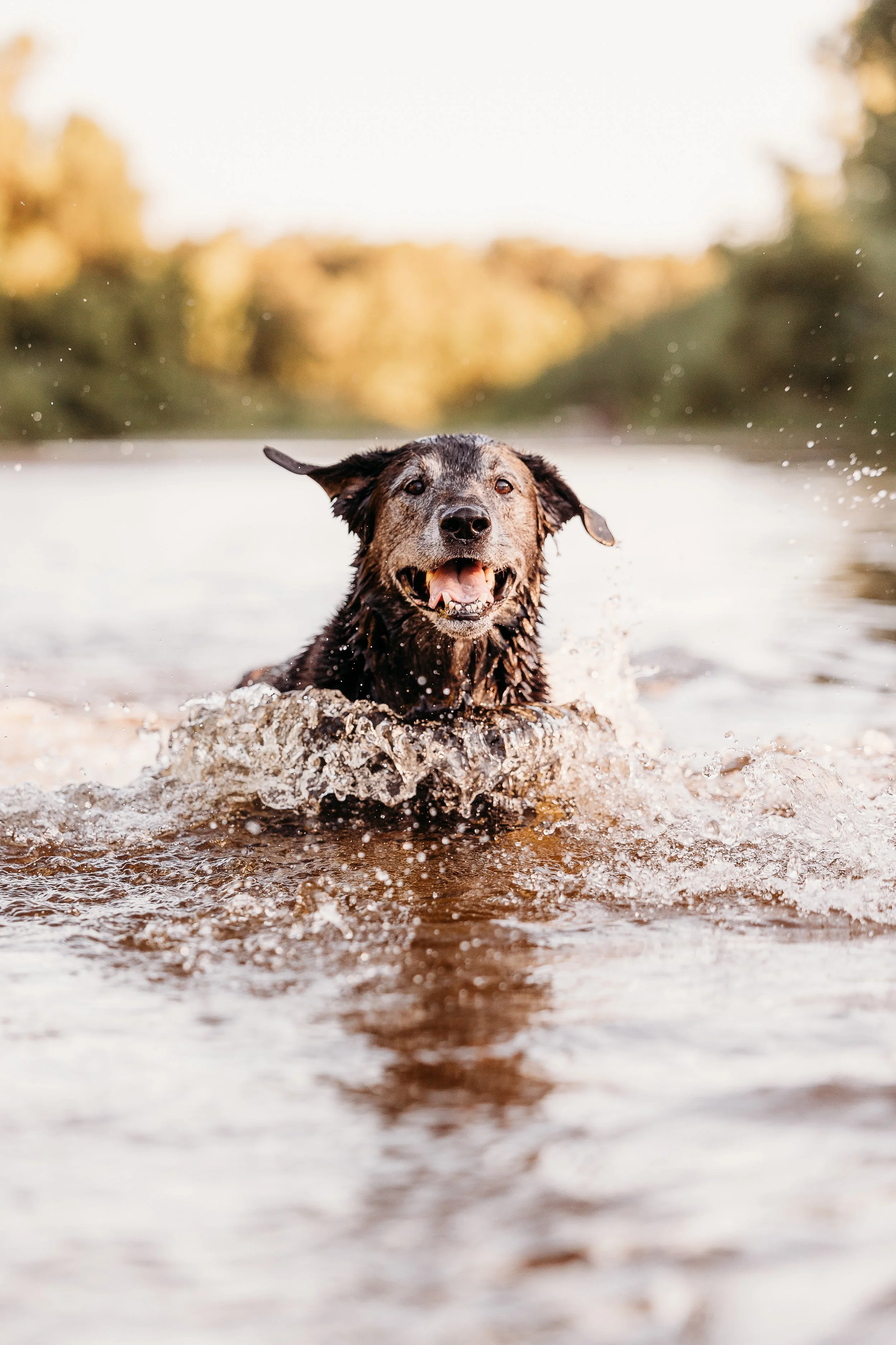 River Minis - Eddie - Edits-7.jpg