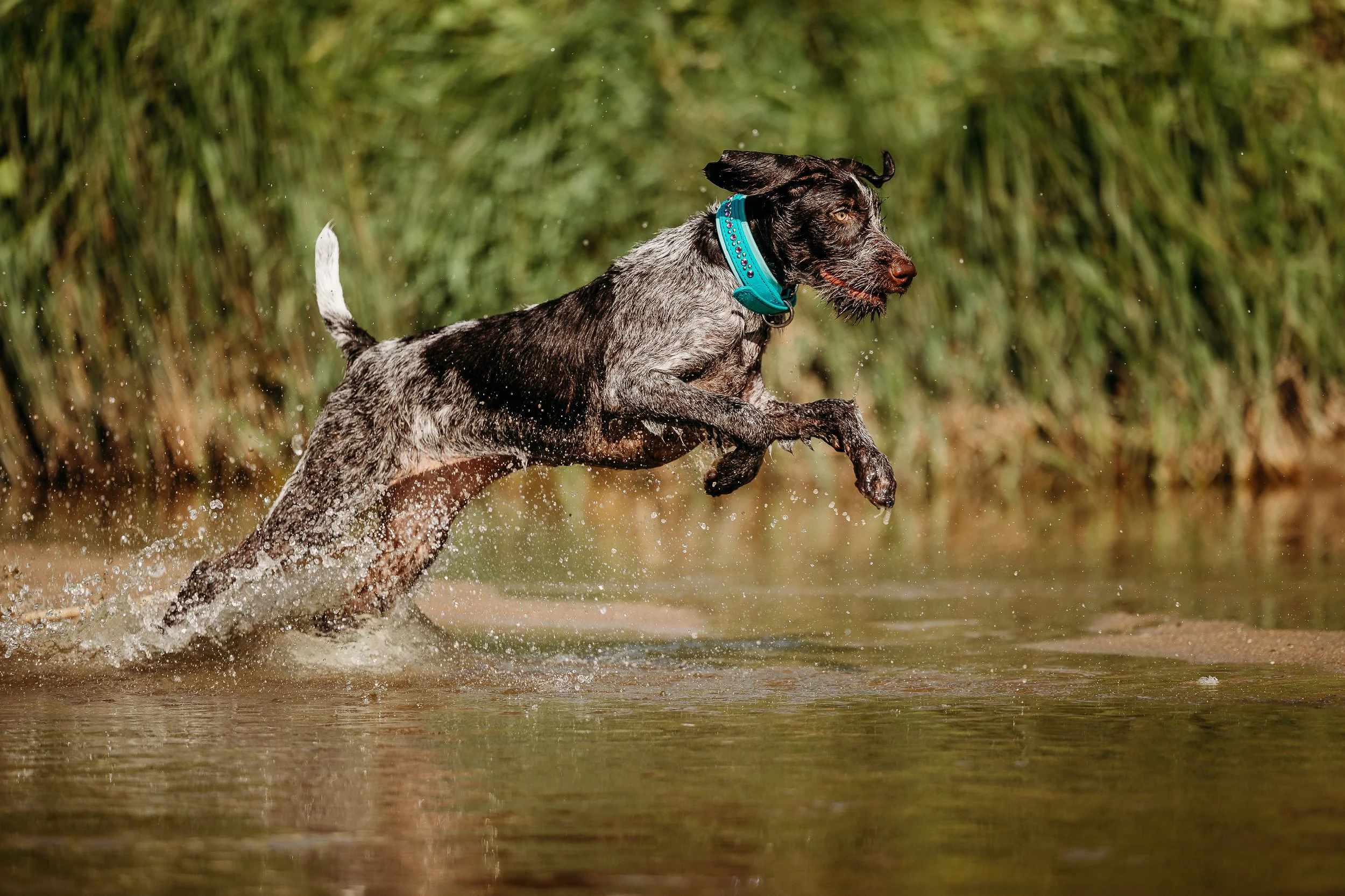 River Minis - Fleur-11.jpg
