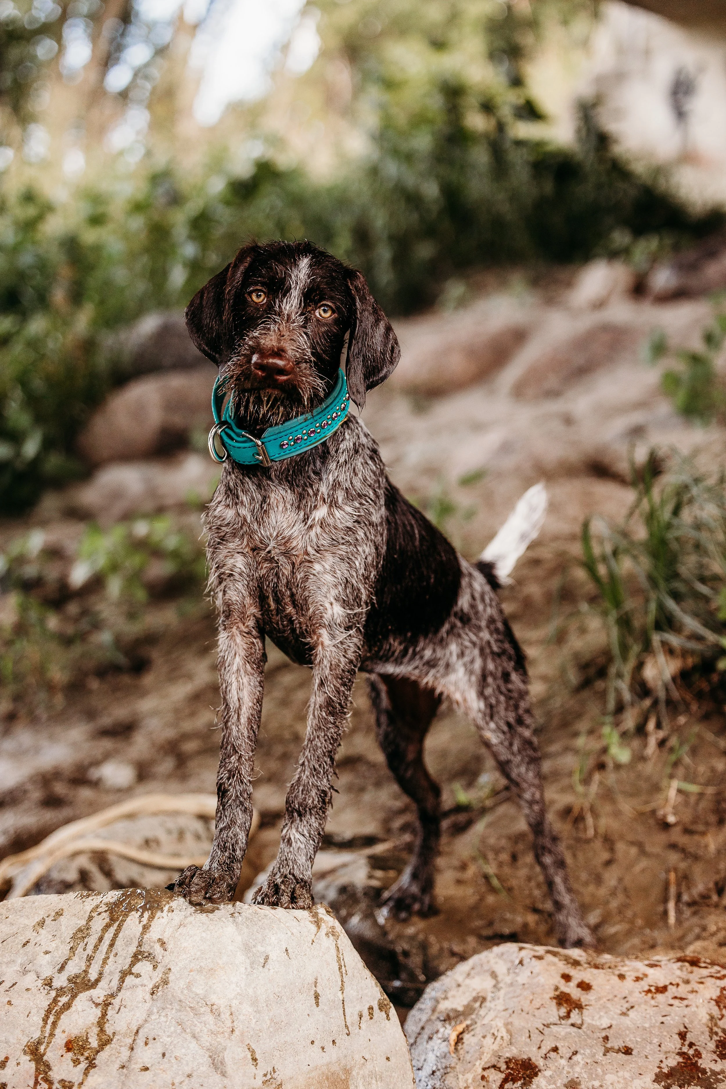 River Minis - Fleur-16.jpg