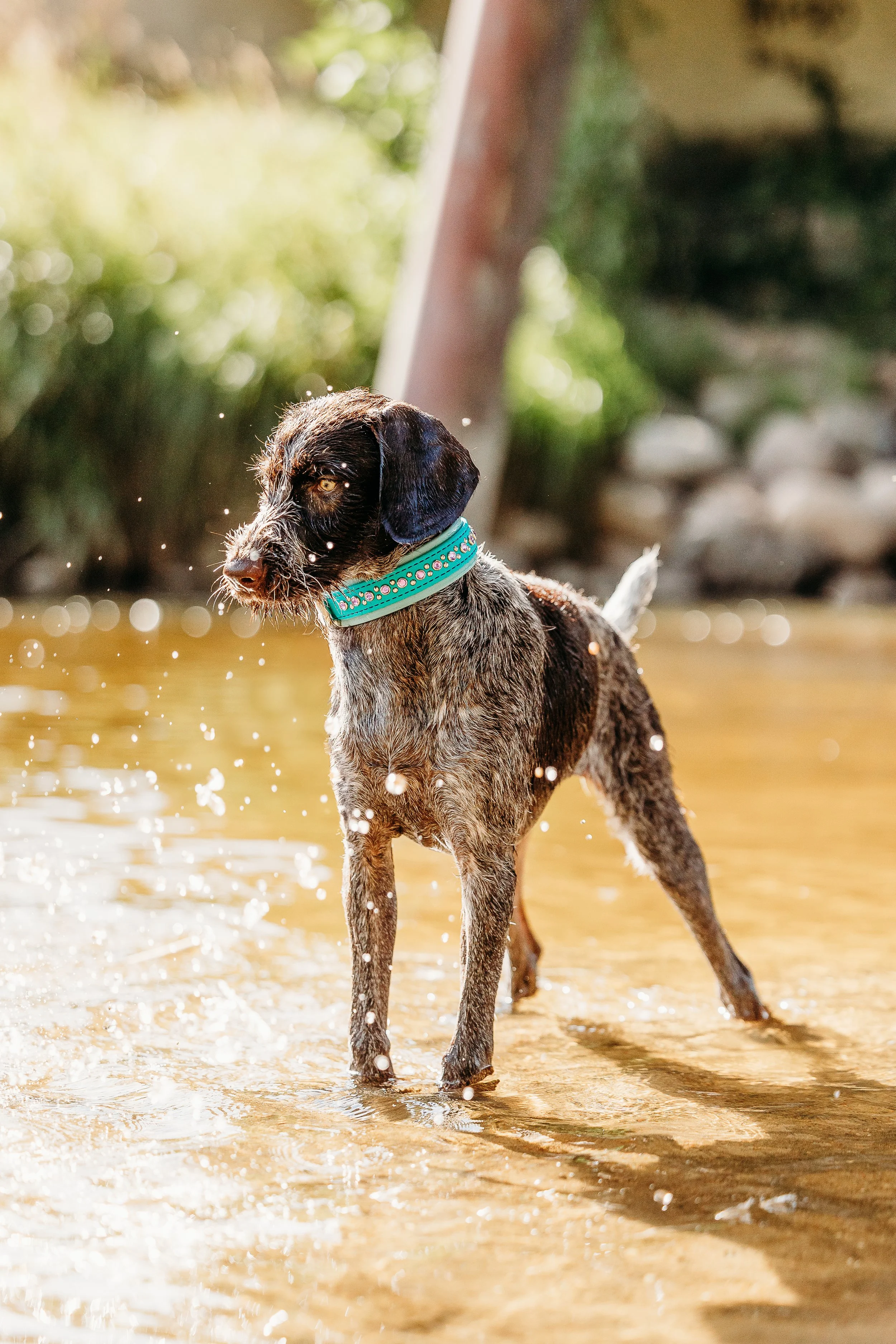 River Minis - Fleur-18.jpg