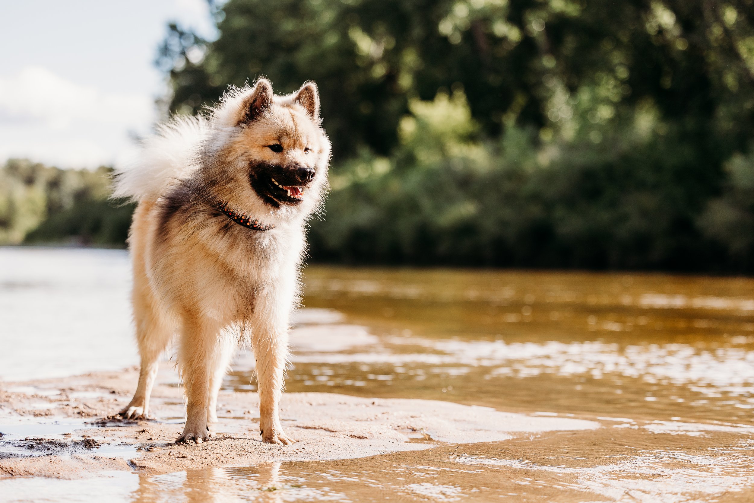 River Minis - Rhaegar - Edits-2.jpg