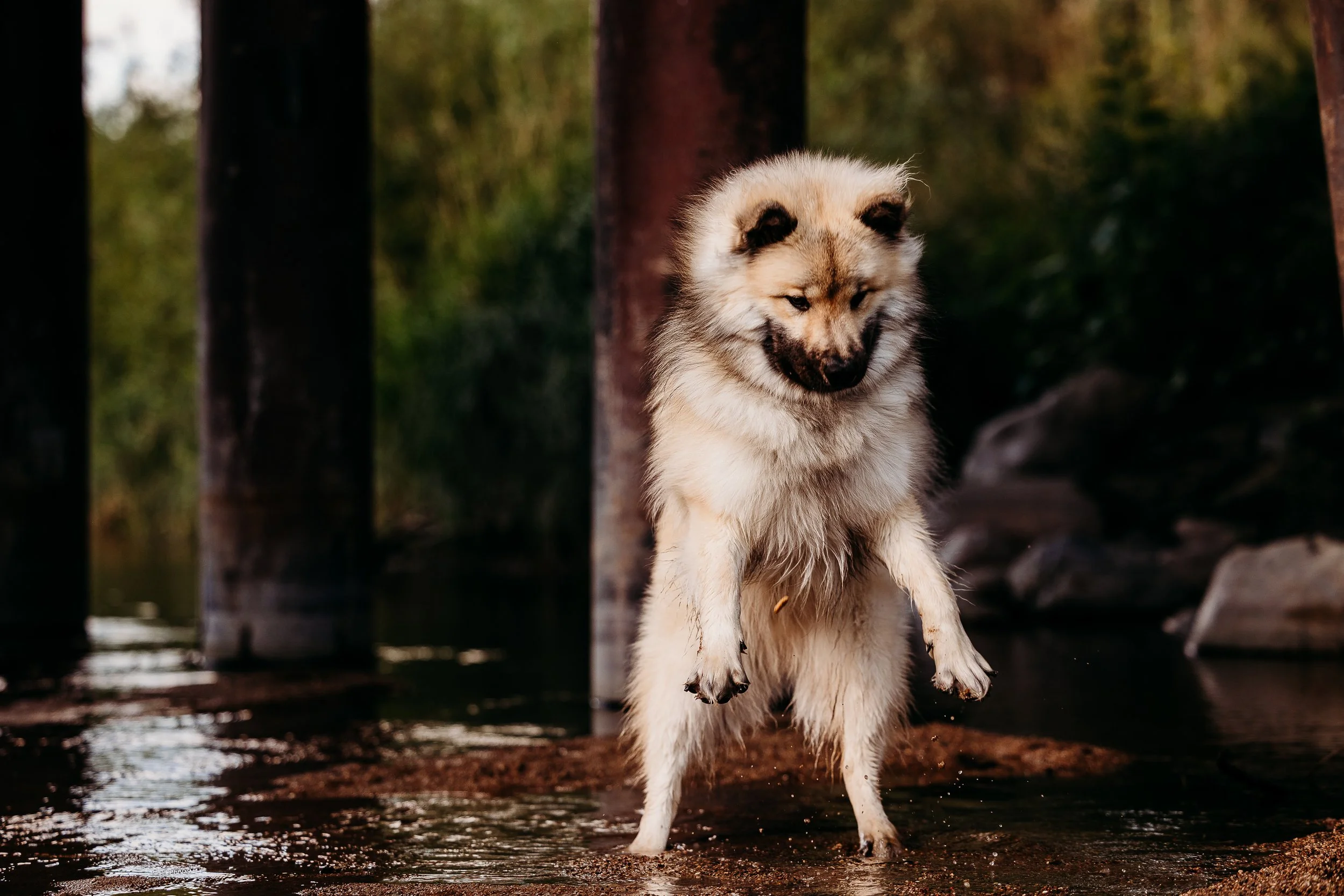 River Minis - Rhaegar - Edits-3.jpg