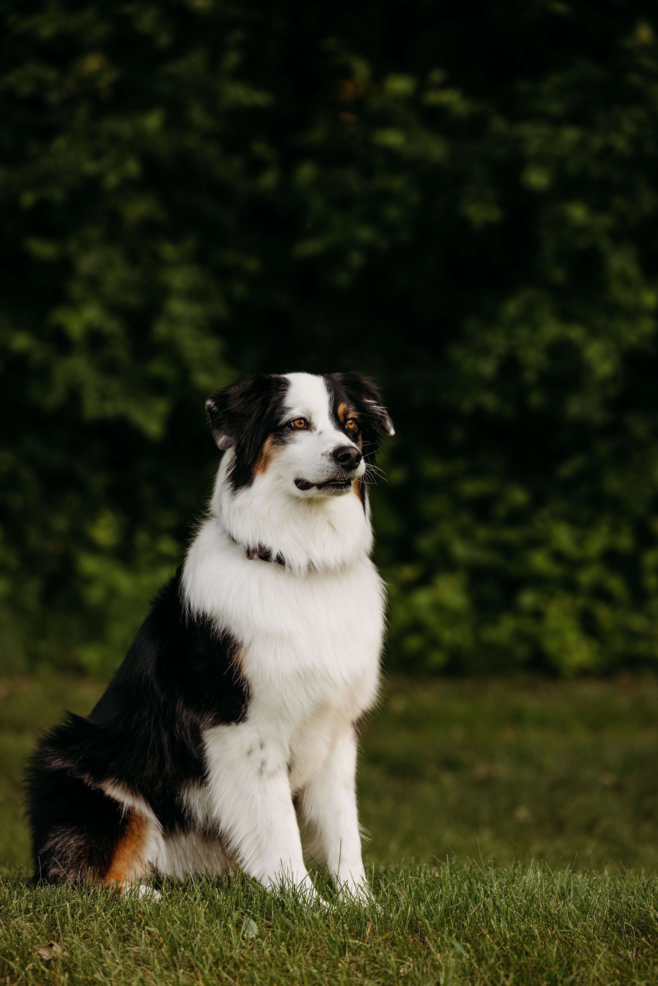 Brooks & Jax-2.jpg