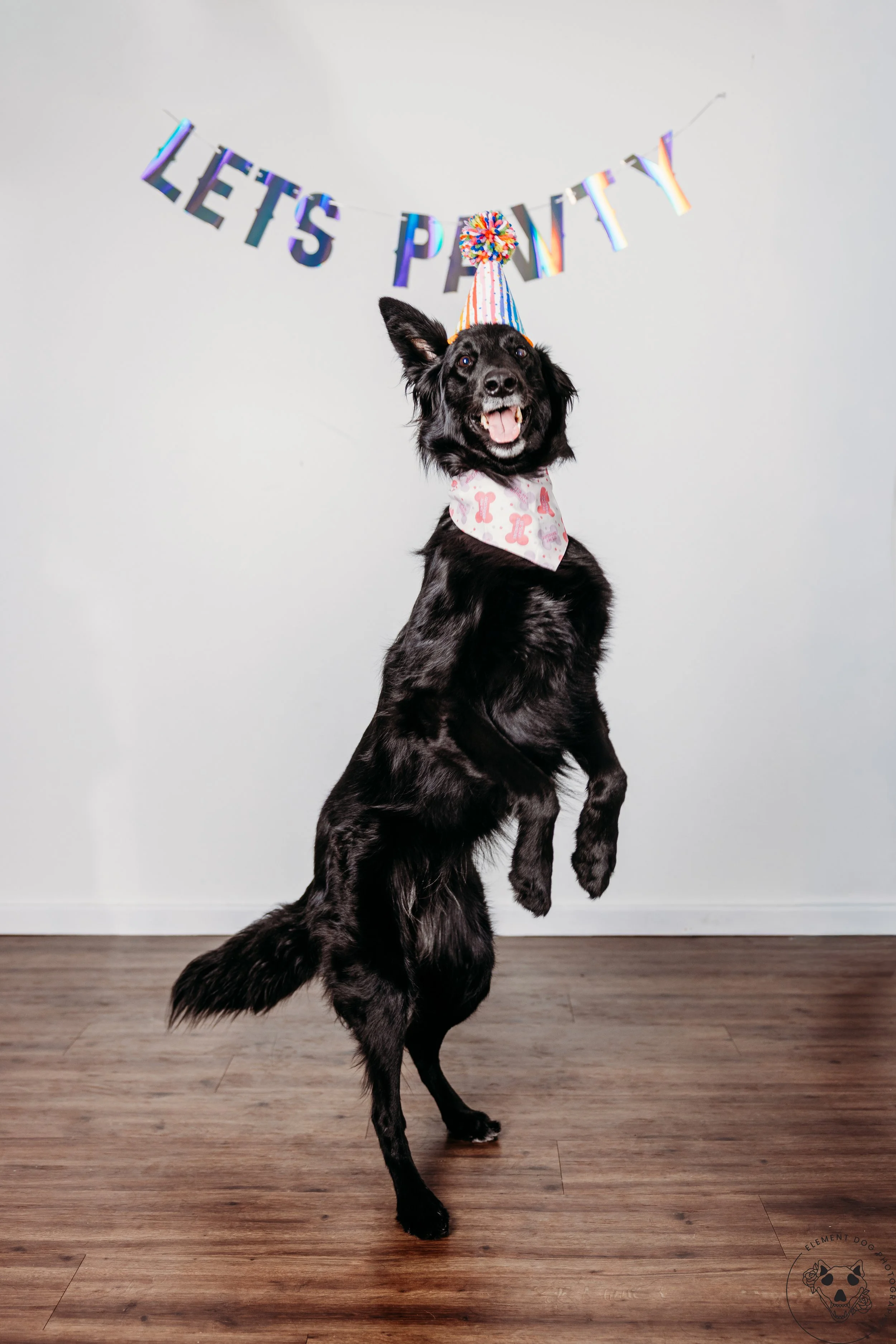 Rush & Sea Bday-1874.jpg