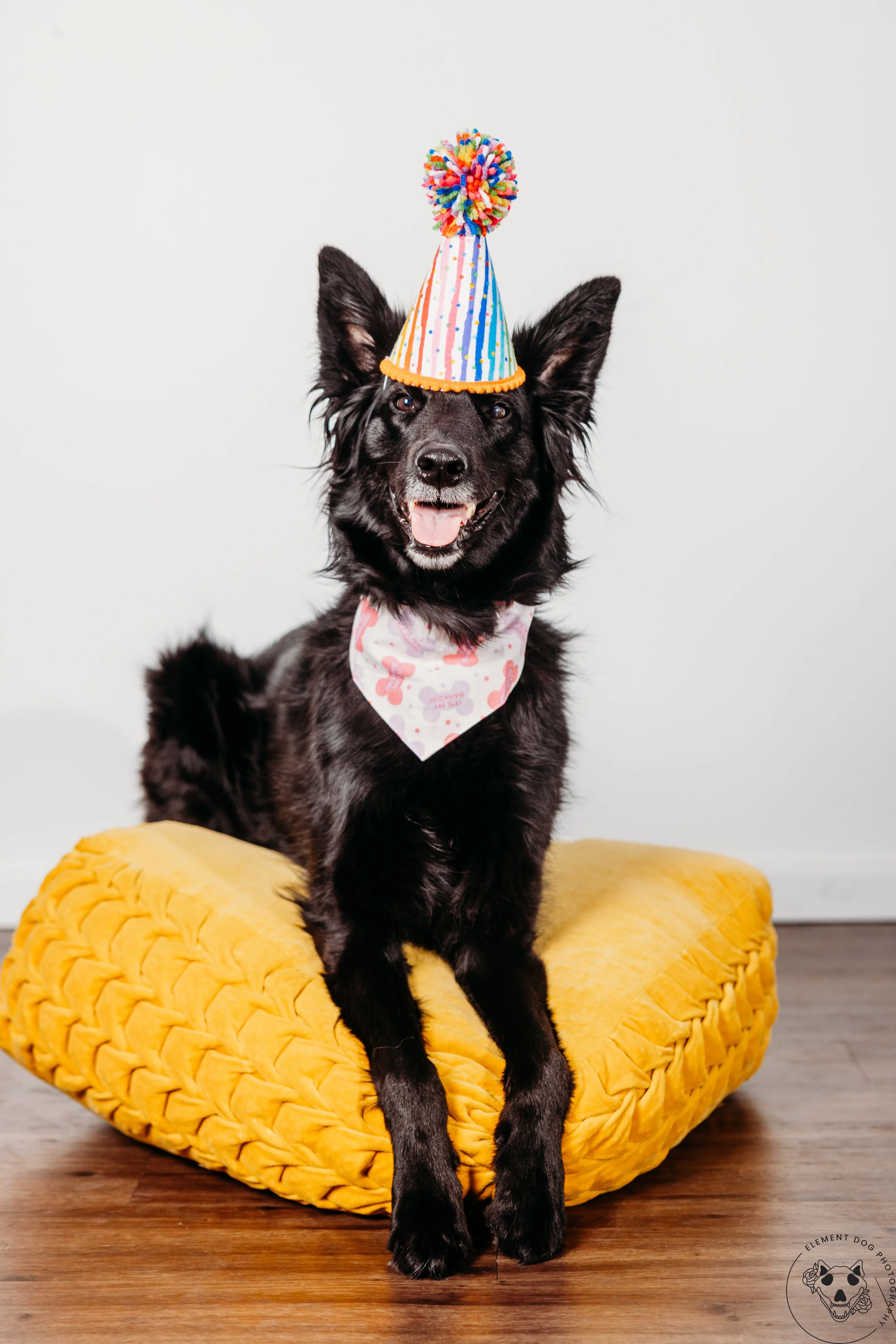 Rush & Sea Bday-1911.jpg