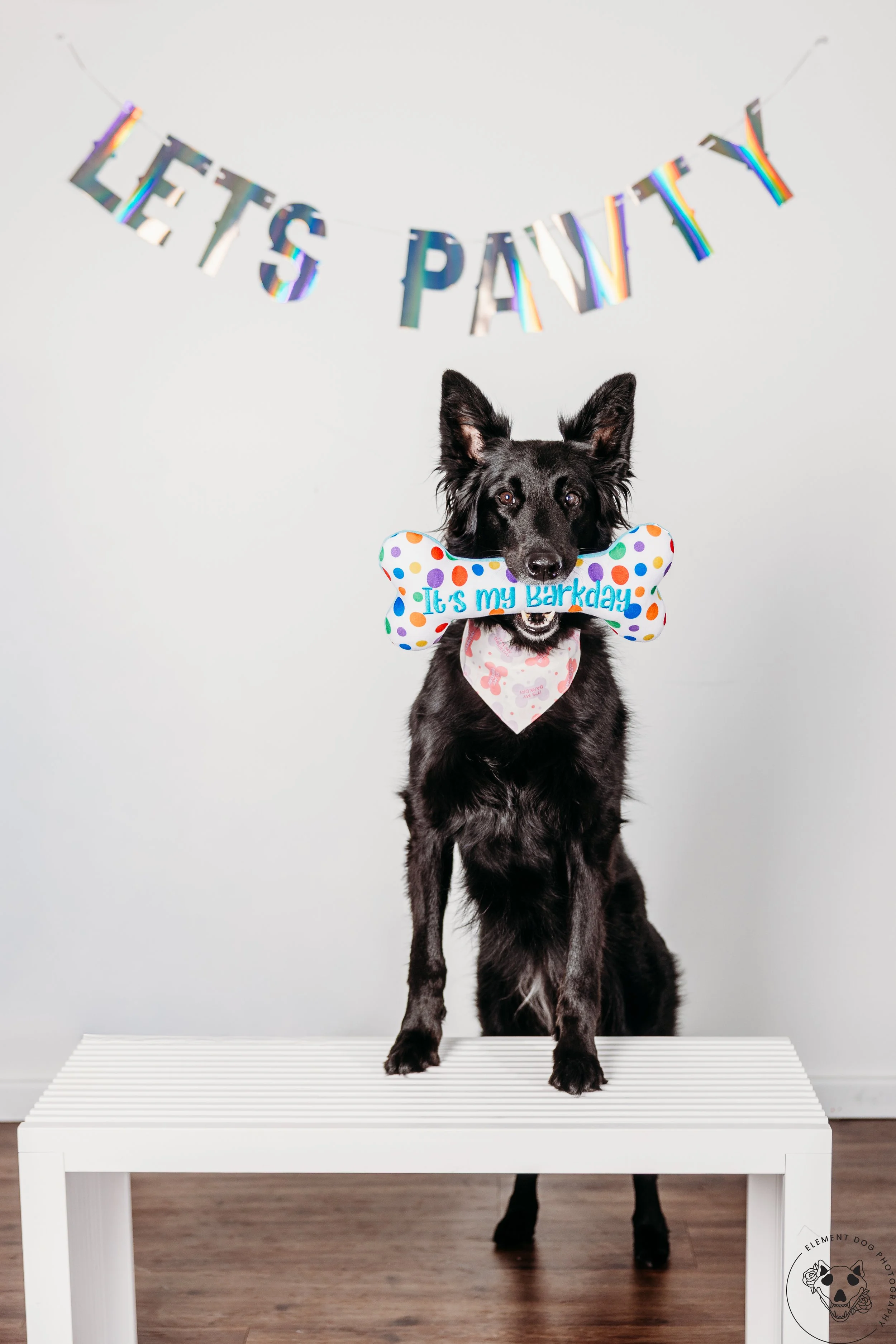 Rush & Sea Bday-1930.jpg