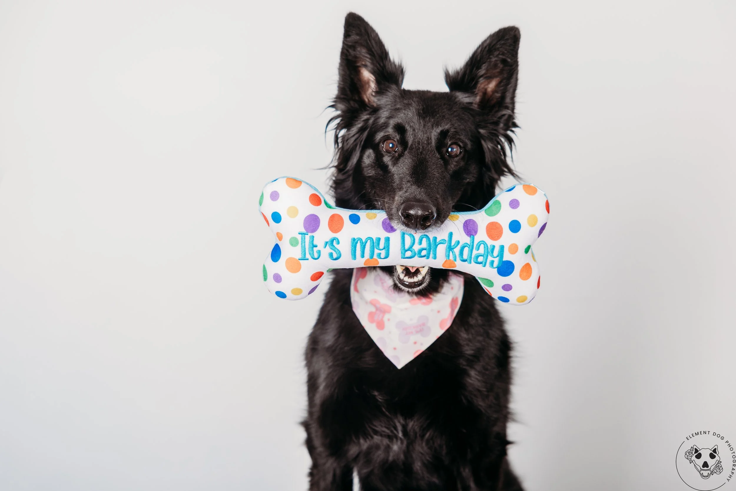 Rush & Sea Bday-1938.jpg