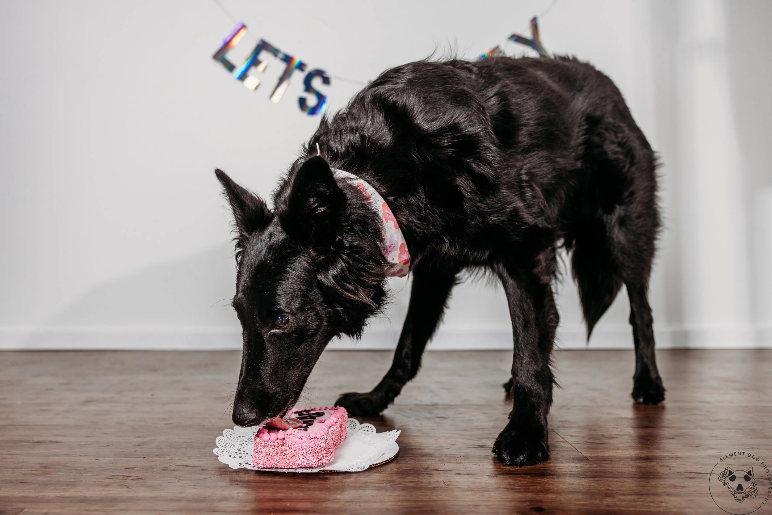 Rush & Sea Bday-2008.jpg