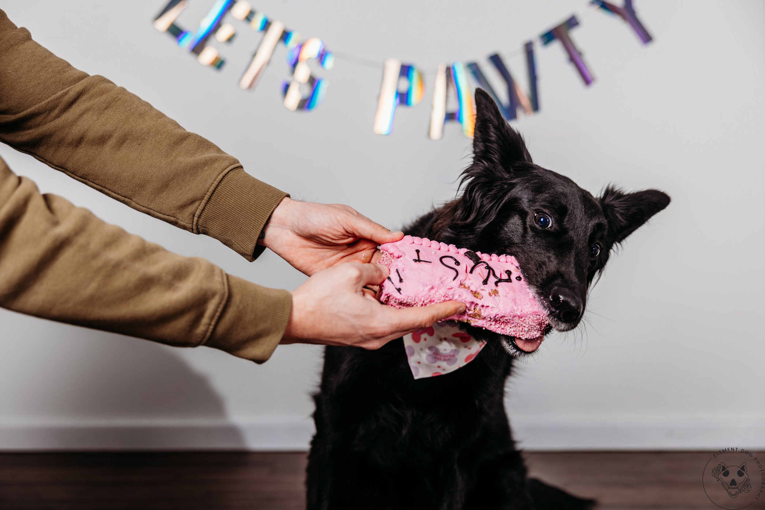 Rush & Sea Bday-2023.jpg