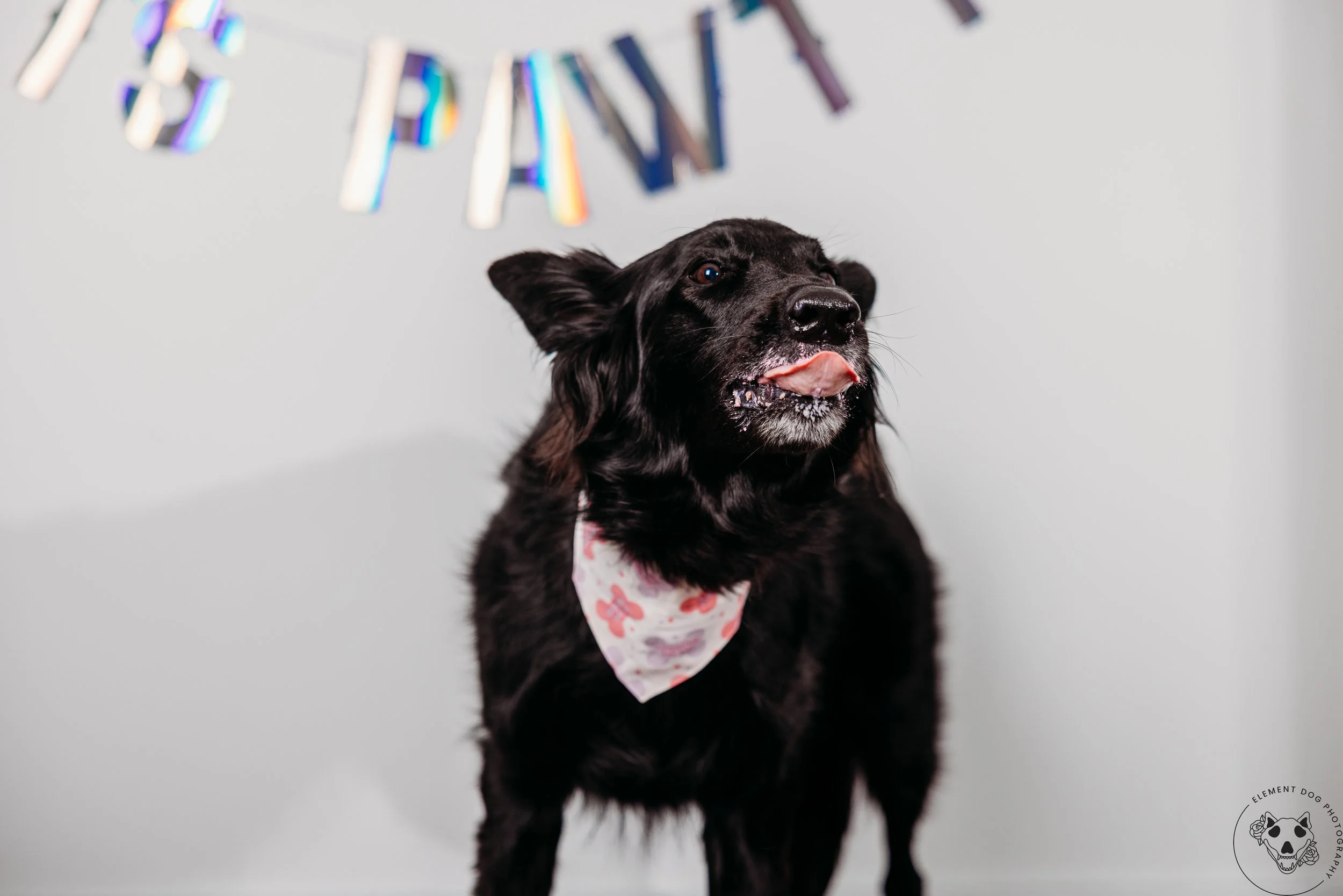 Rush & Sea Bday-2045.jpg