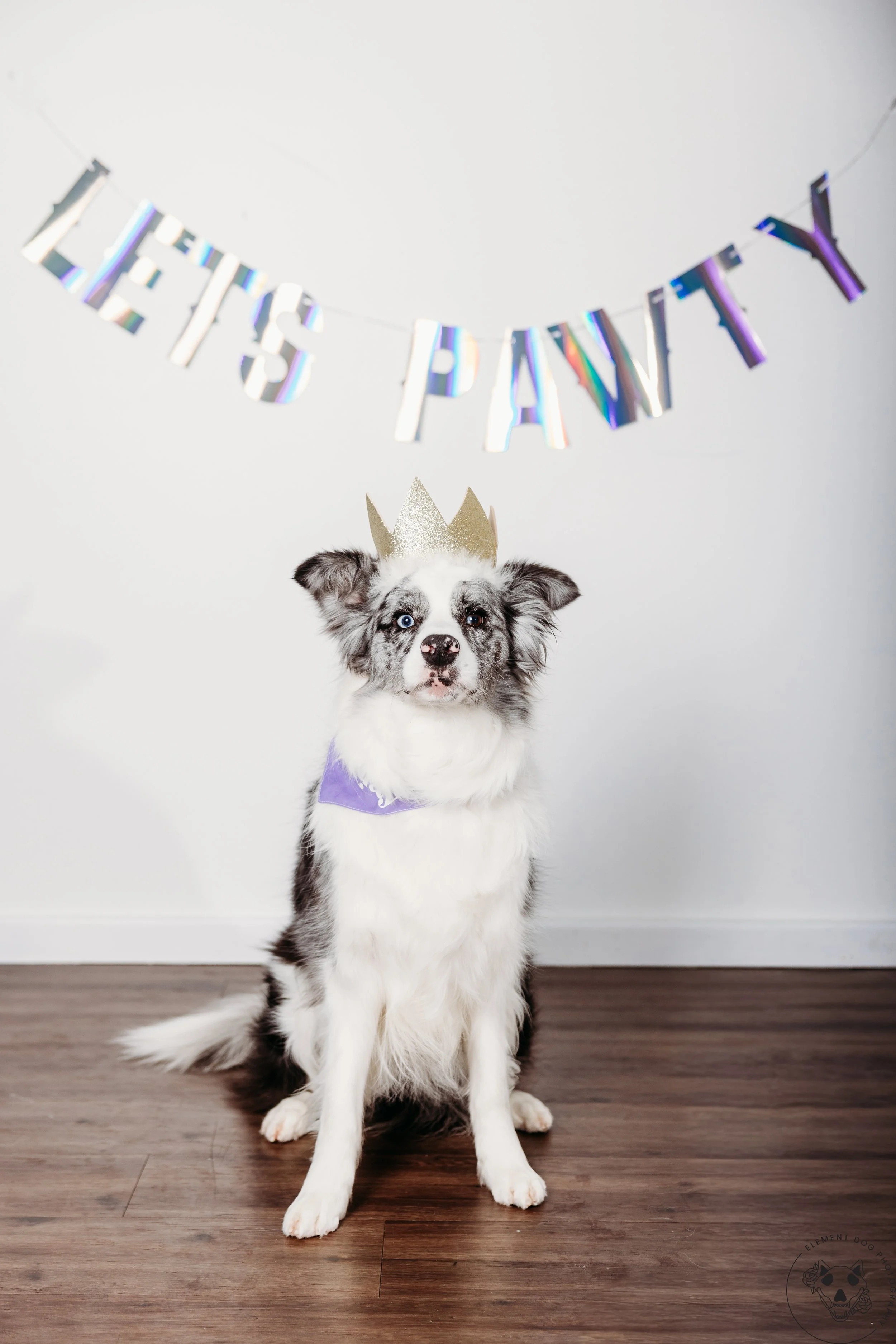 Rush & Sea Bday-2141.jpg