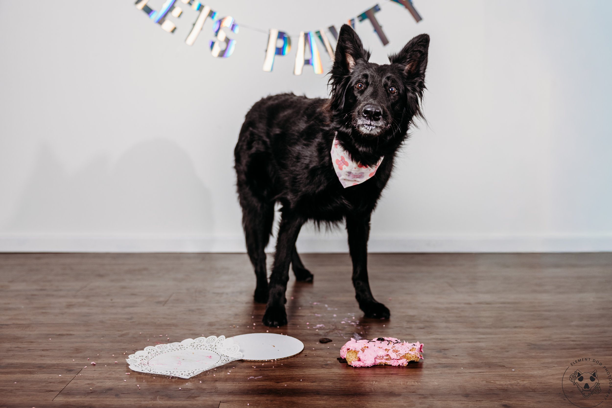 Rush & Sea Bday-2083.jpg