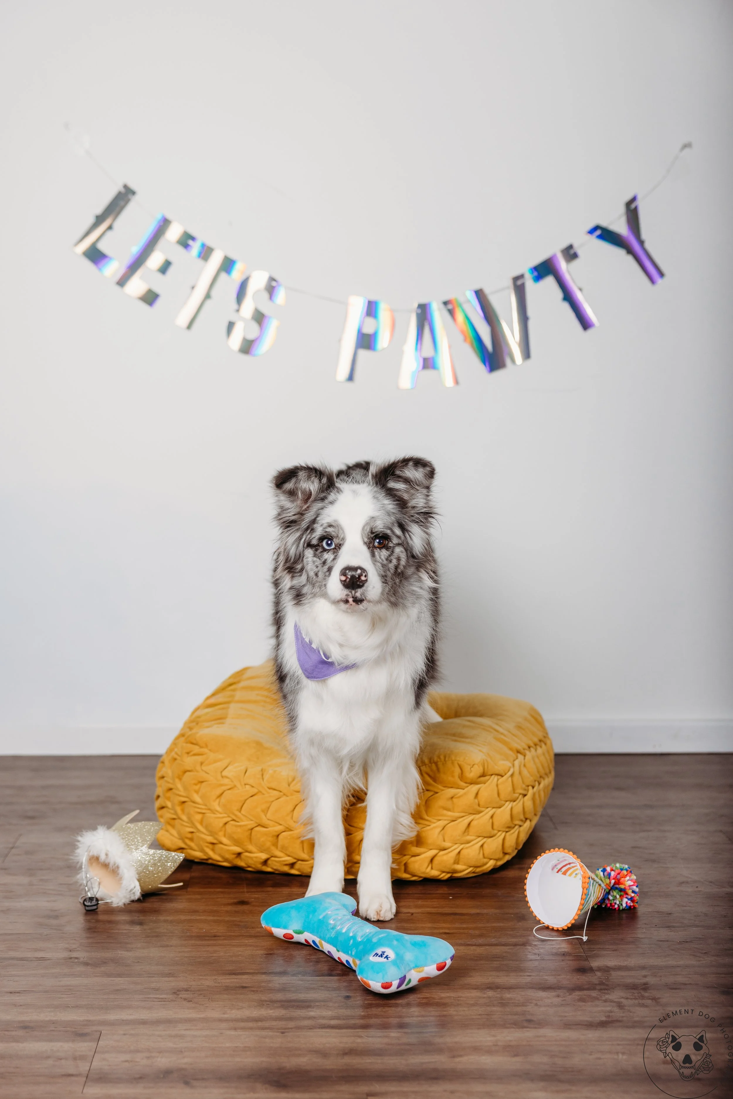 Rush & Sea Bday-2148.jpg