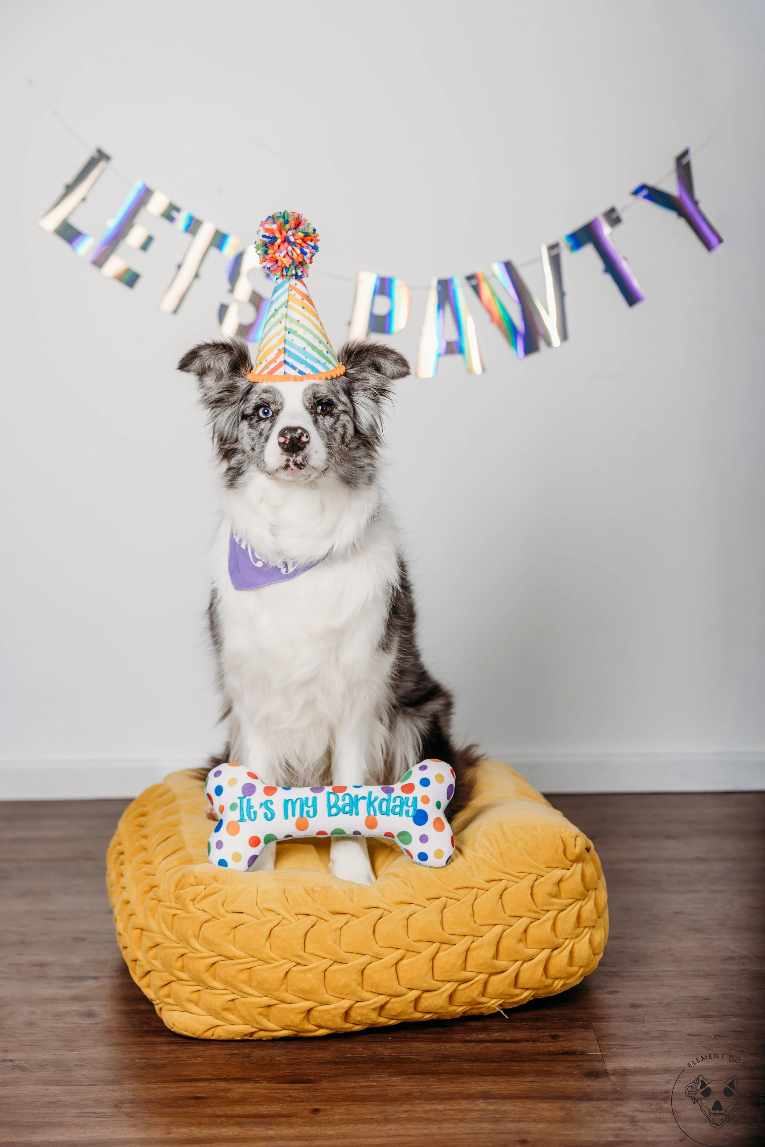 Rush & Sea Bday-2147.jpg