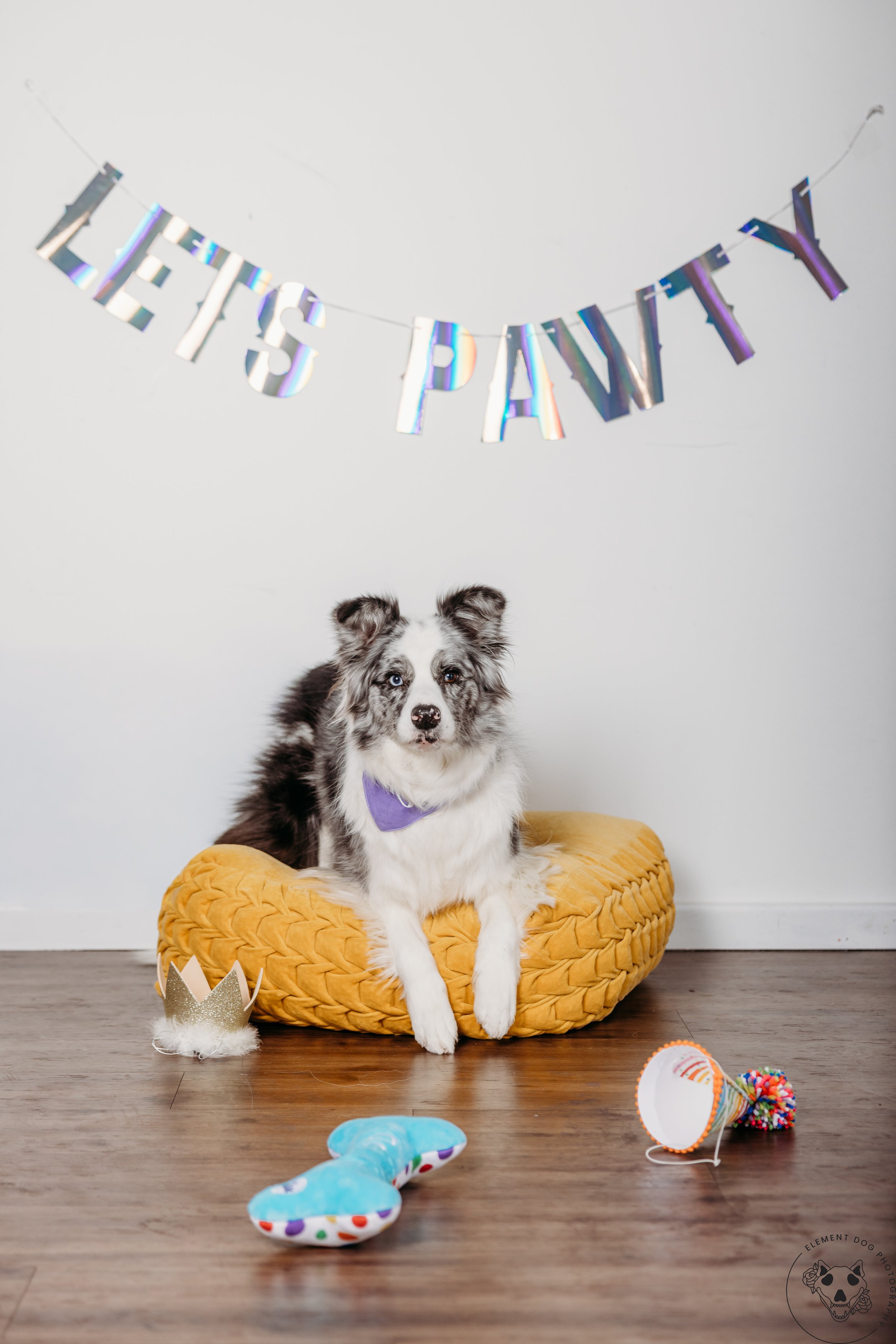 Rush & Sea Bday-2150.jpg