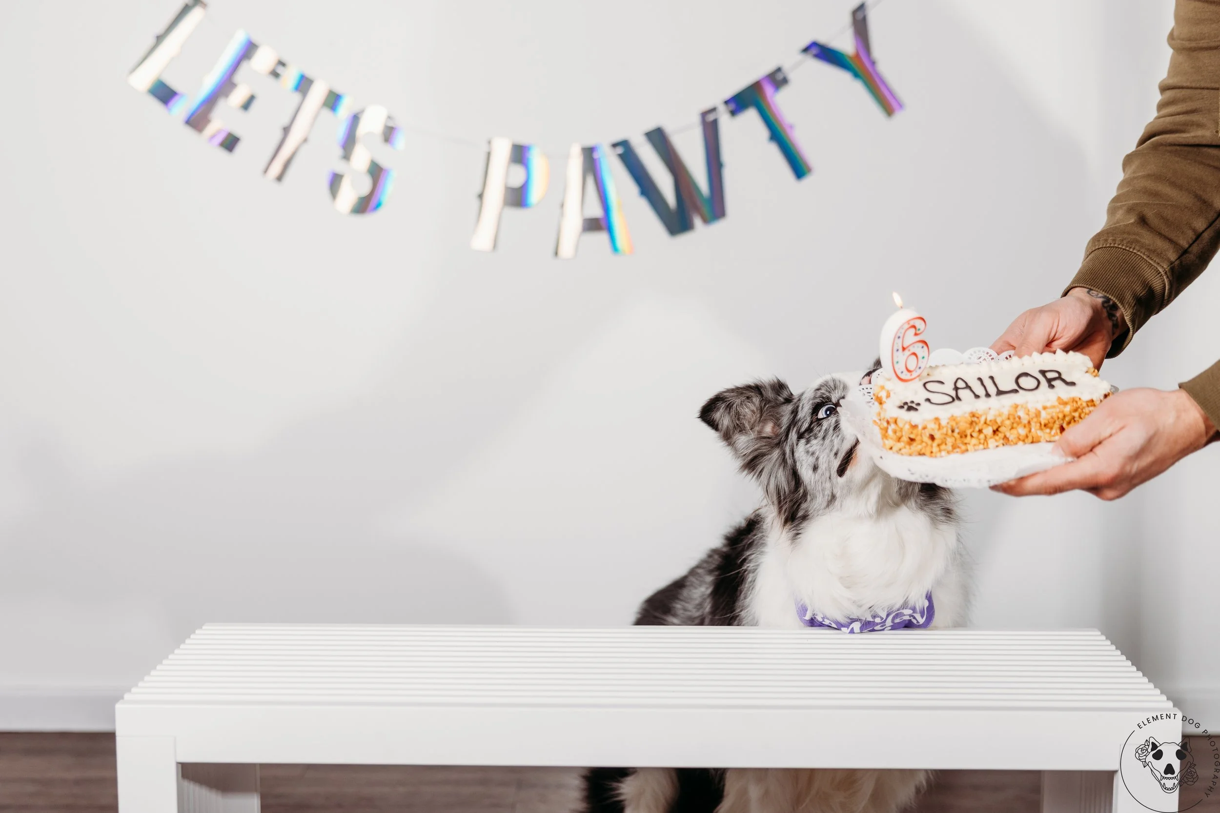 Rush & Sea Bday-2154.jpg