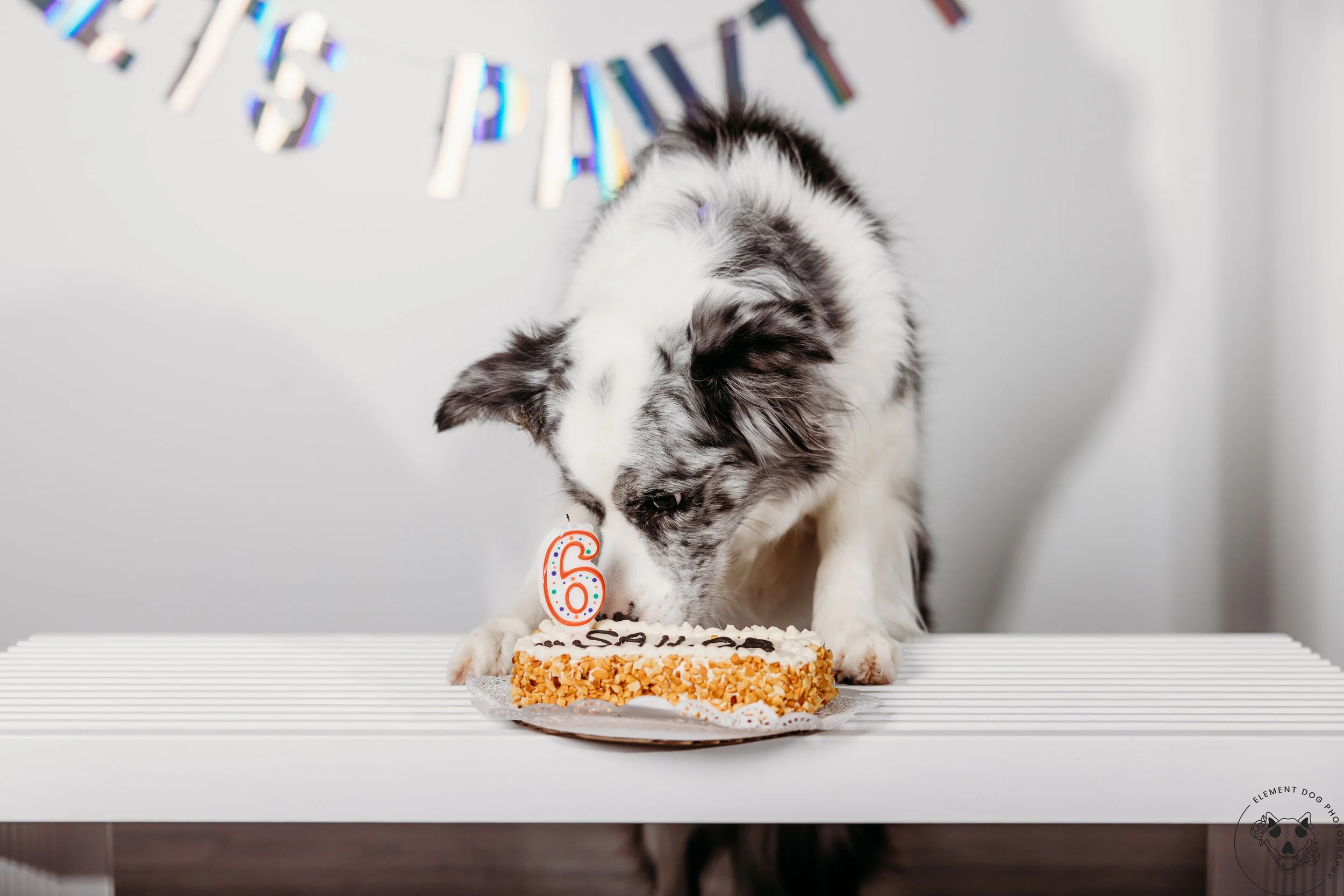 Rush & Sea Bday-2165.jpg