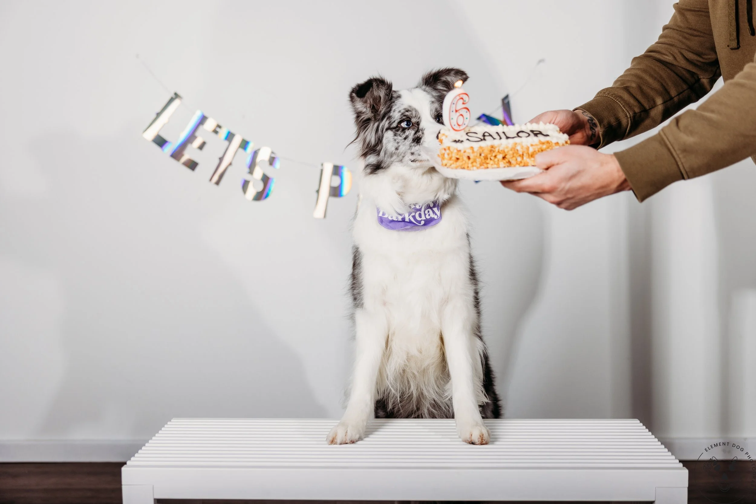 Rush & Sea Bday-2157.jpg