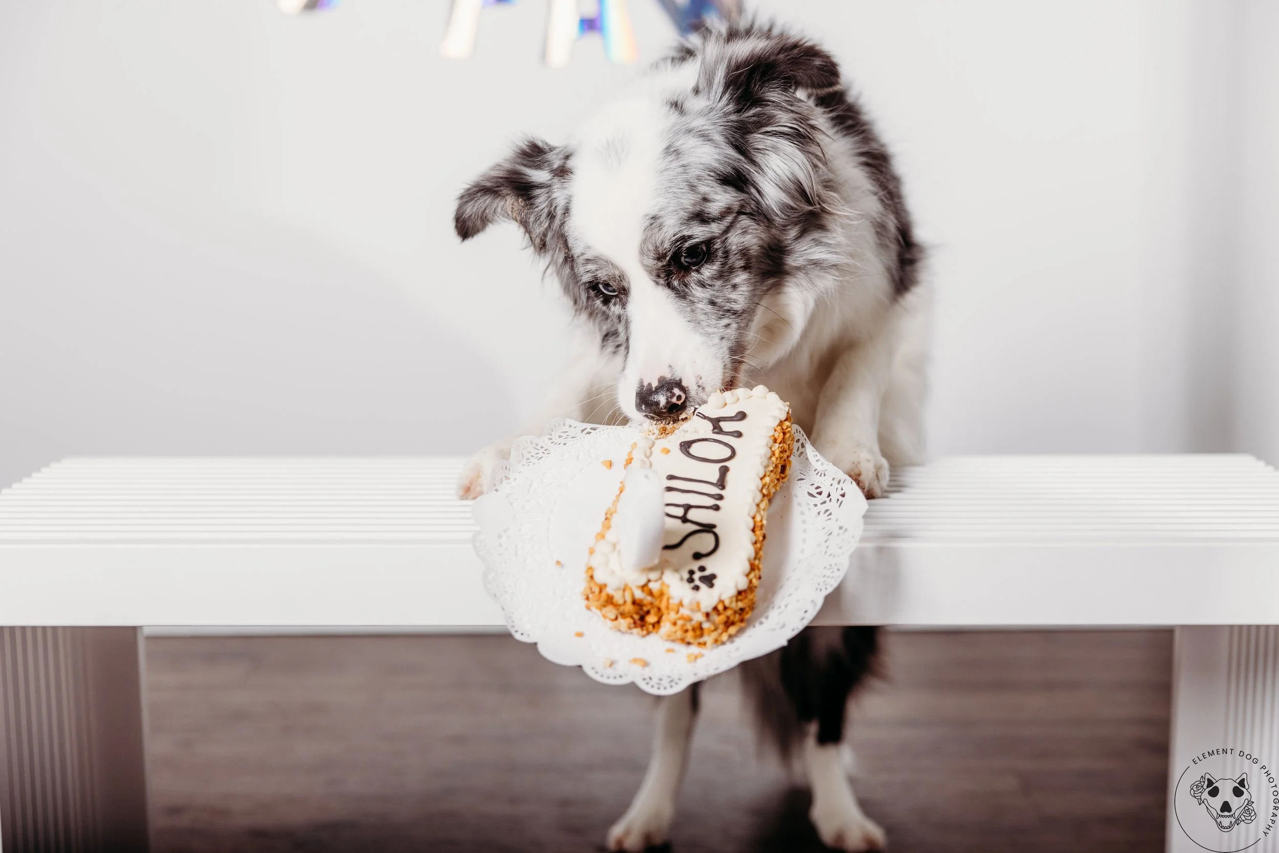 Rush & Sea Bday-2169.jpg