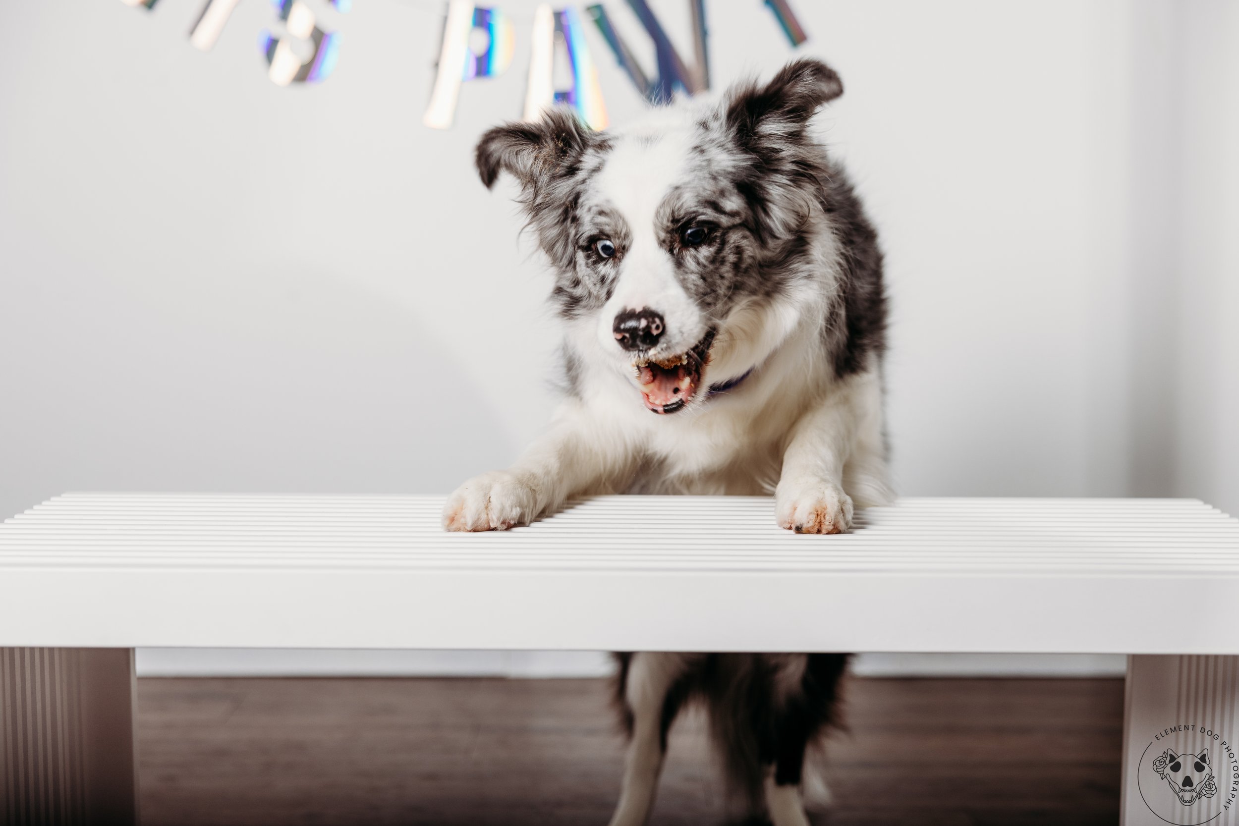 Rush & Sea Bday-2170.jpg