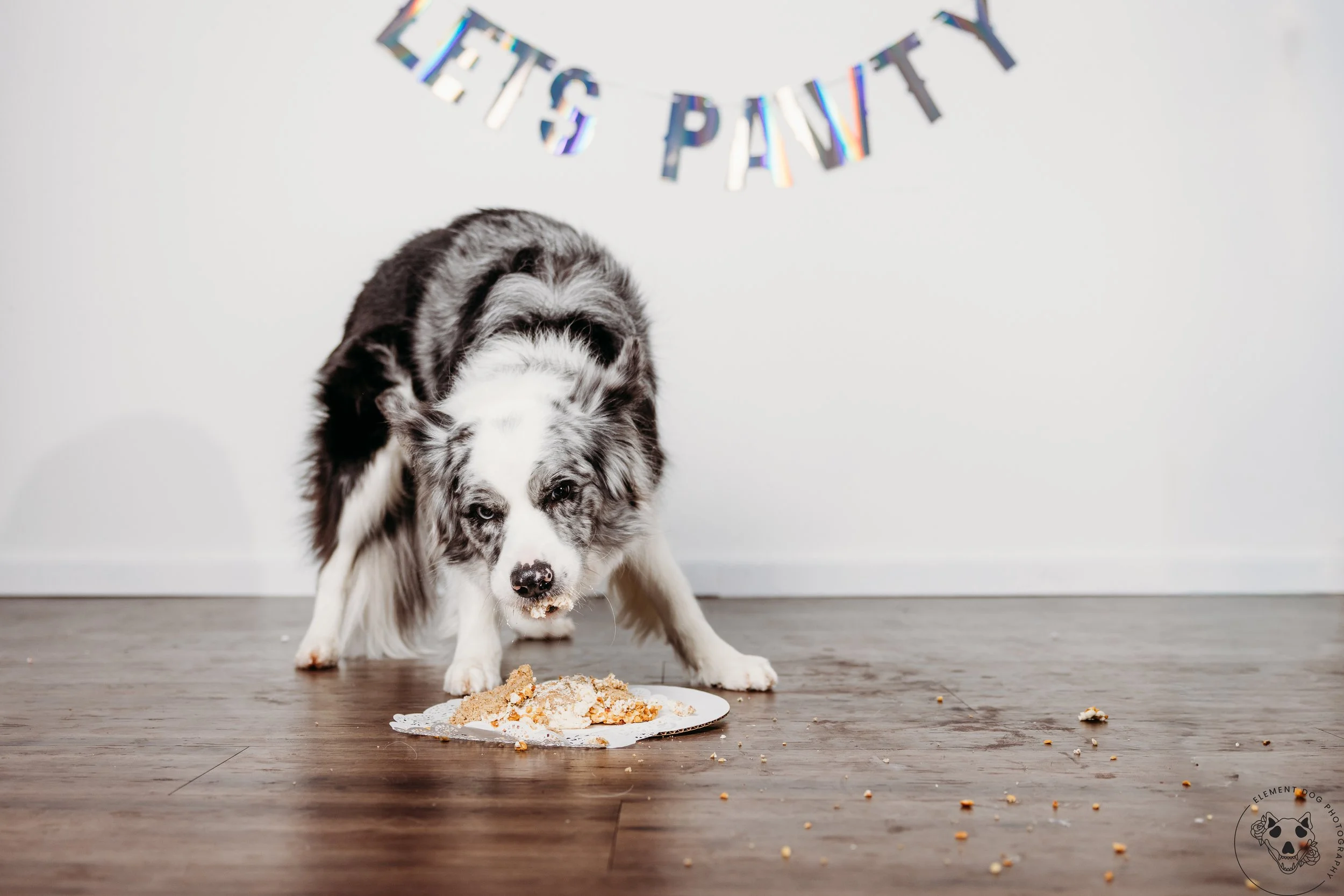 Rush & Sea Bday-2192.jpg