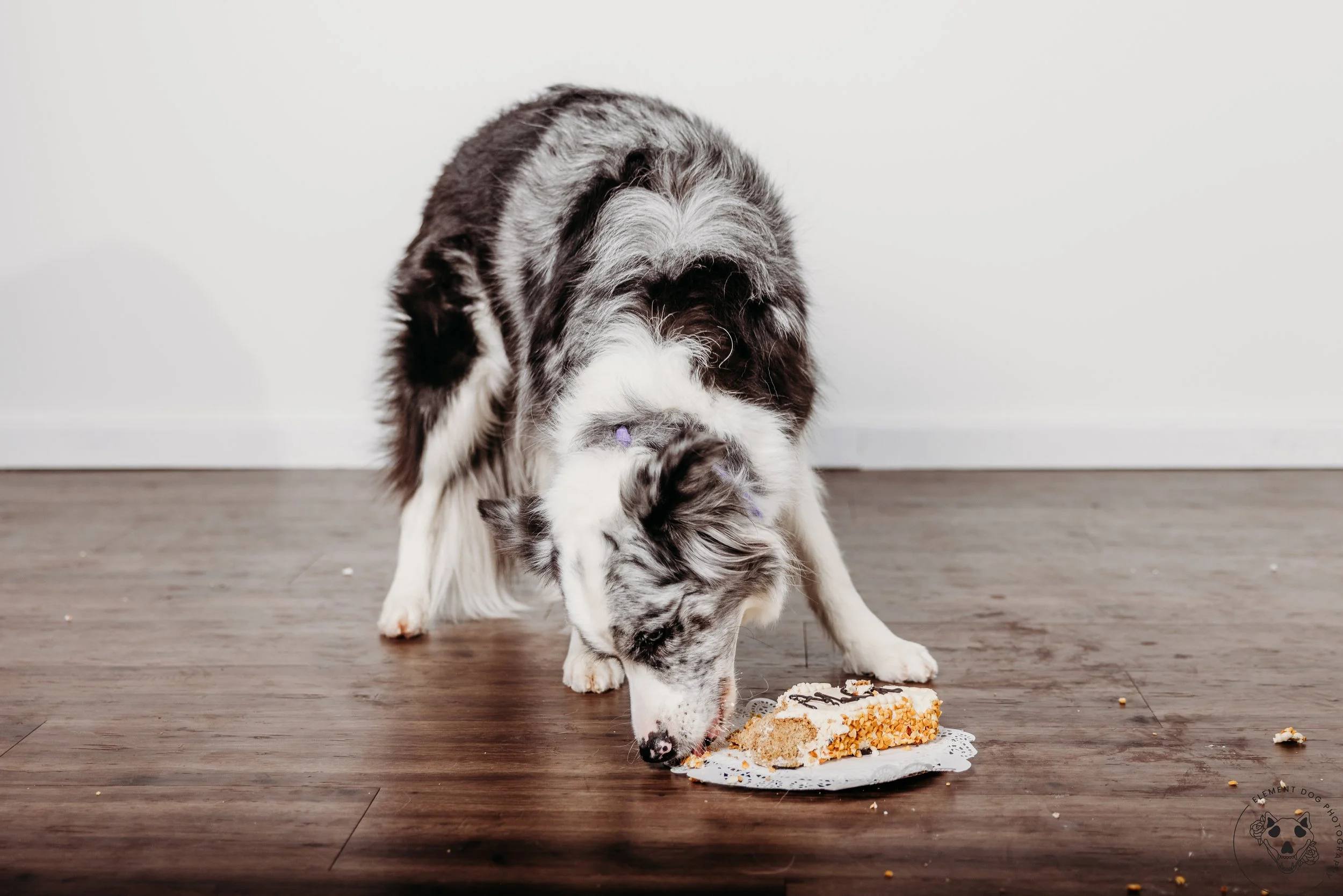 Rush & Sea Bday-2181.jpg