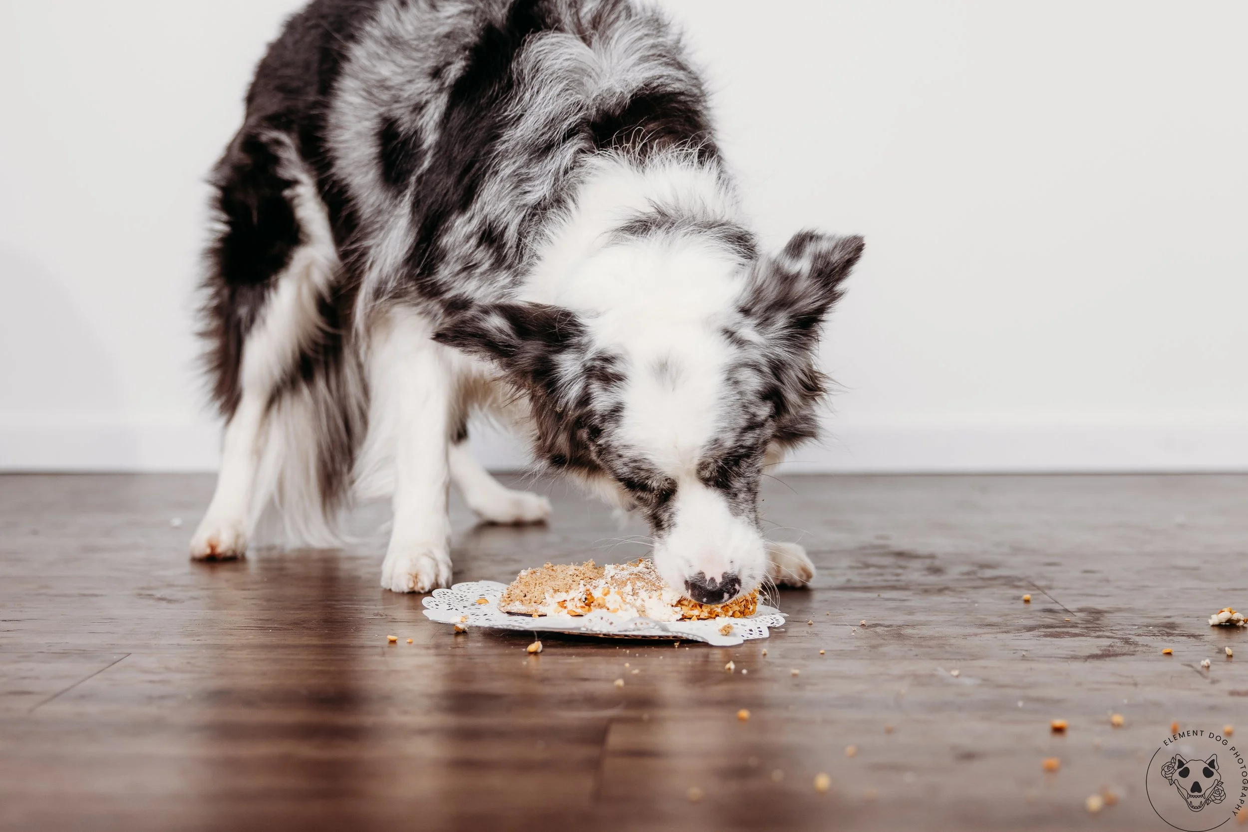 Rush & Sea Bday-2189.jpg