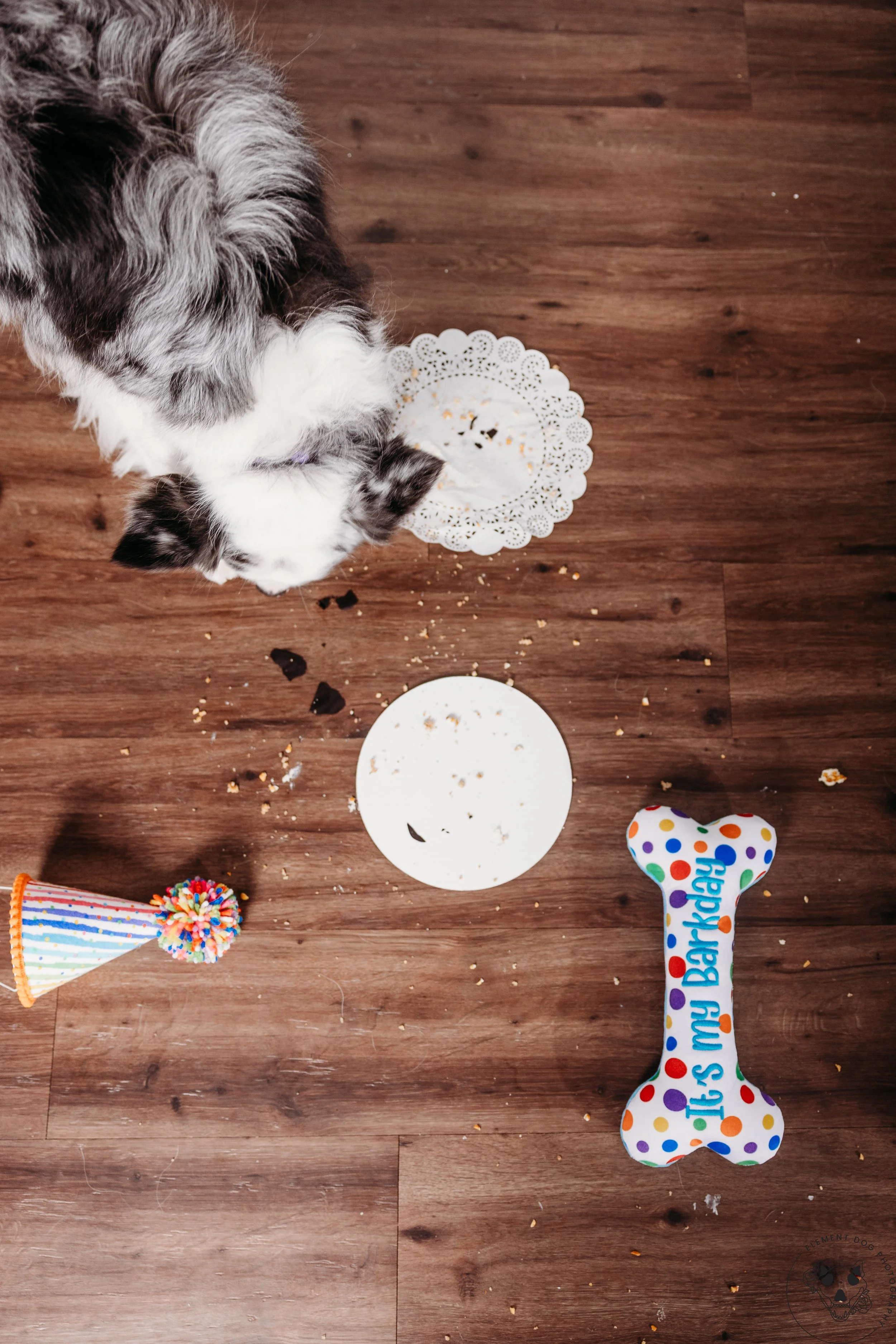 Rush & Sea Bday-2204.jpg