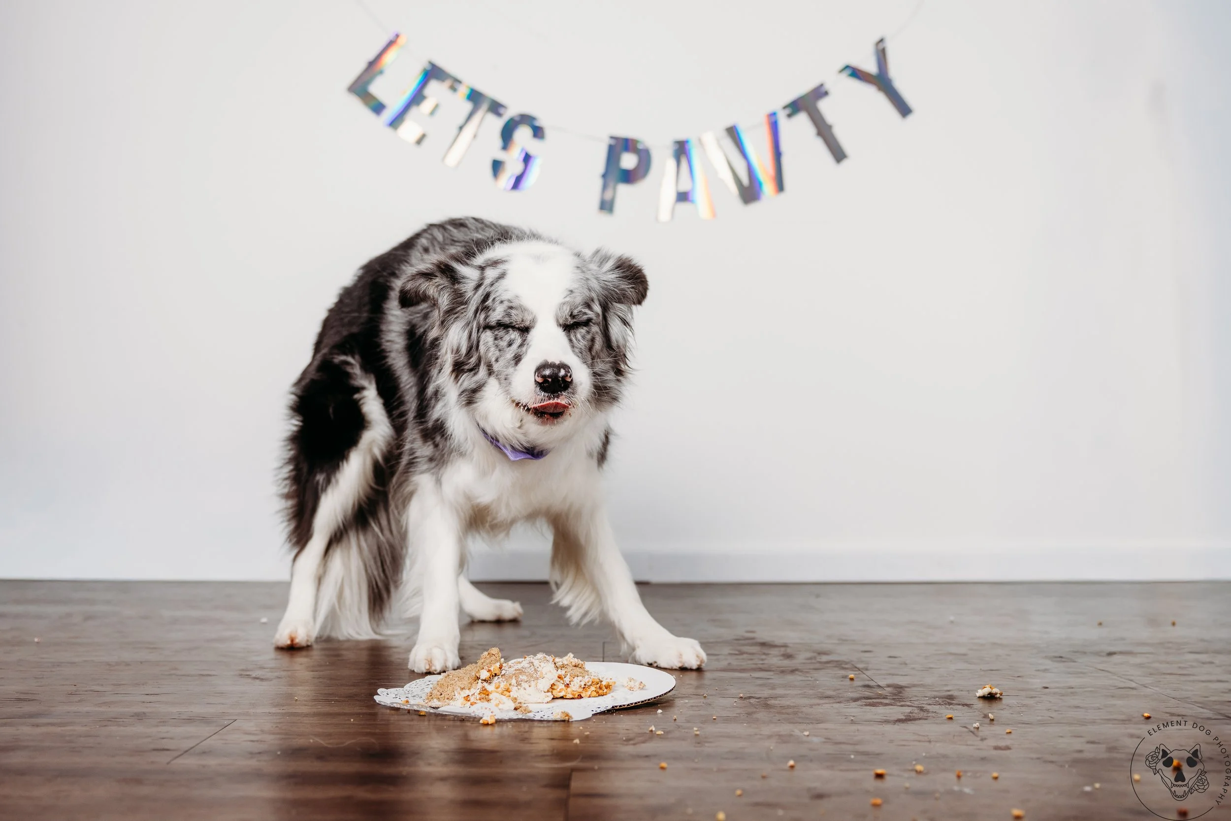 Rush & Sea Bday-2193.jpg