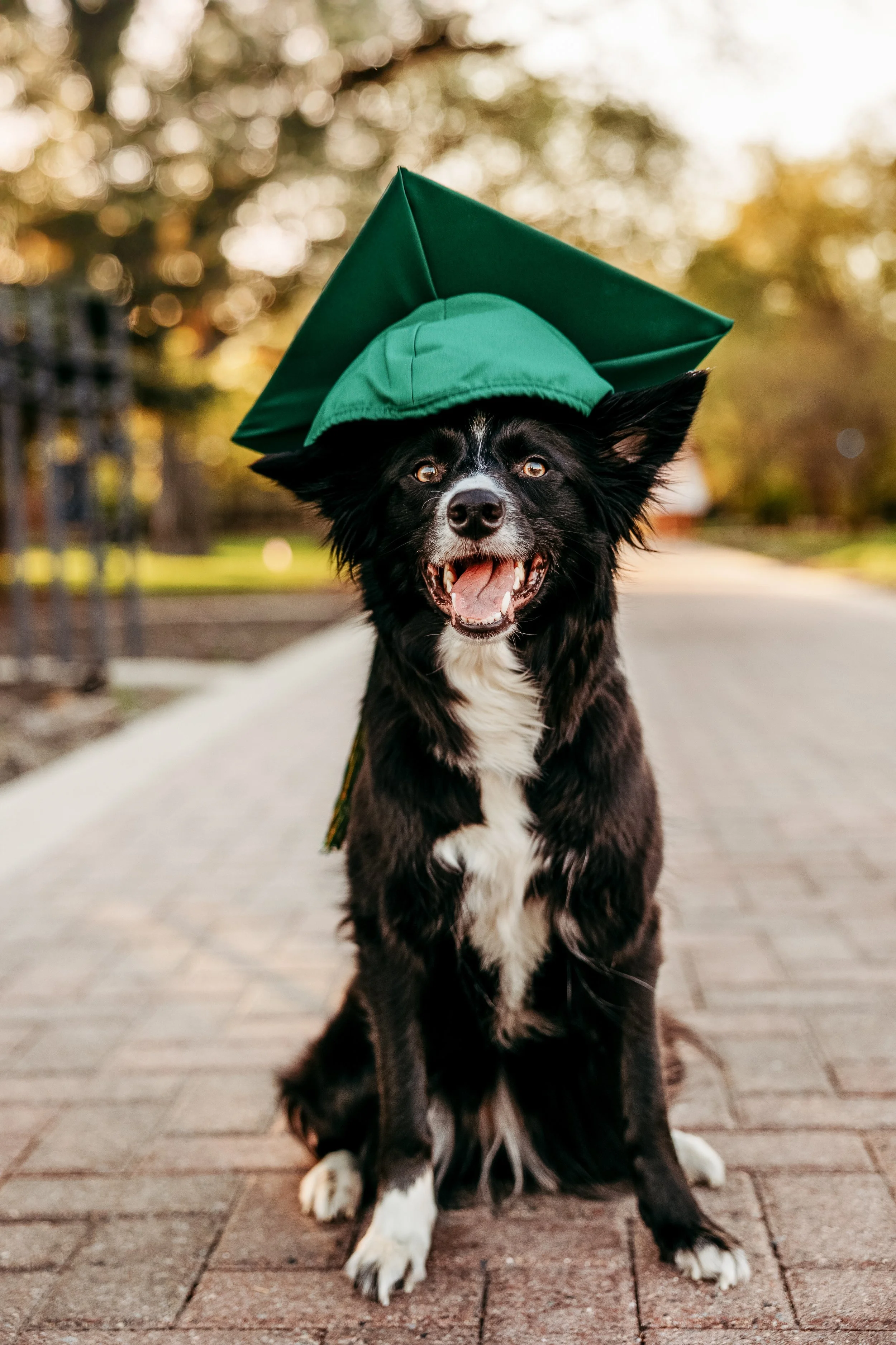Aaliyah NDSU Graduation-11.jpg
