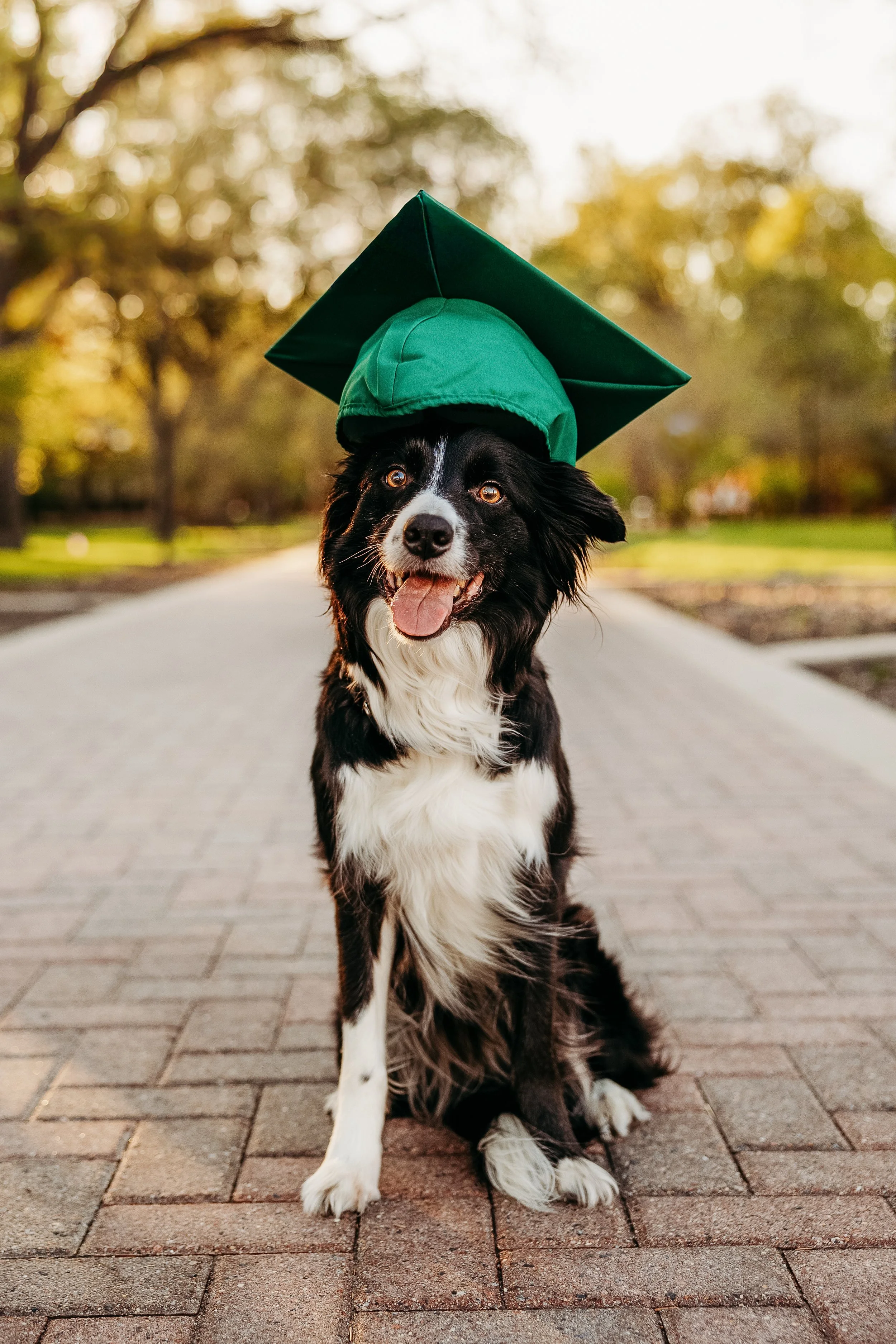 Aaliyah NDSU Graduation-10.jpg